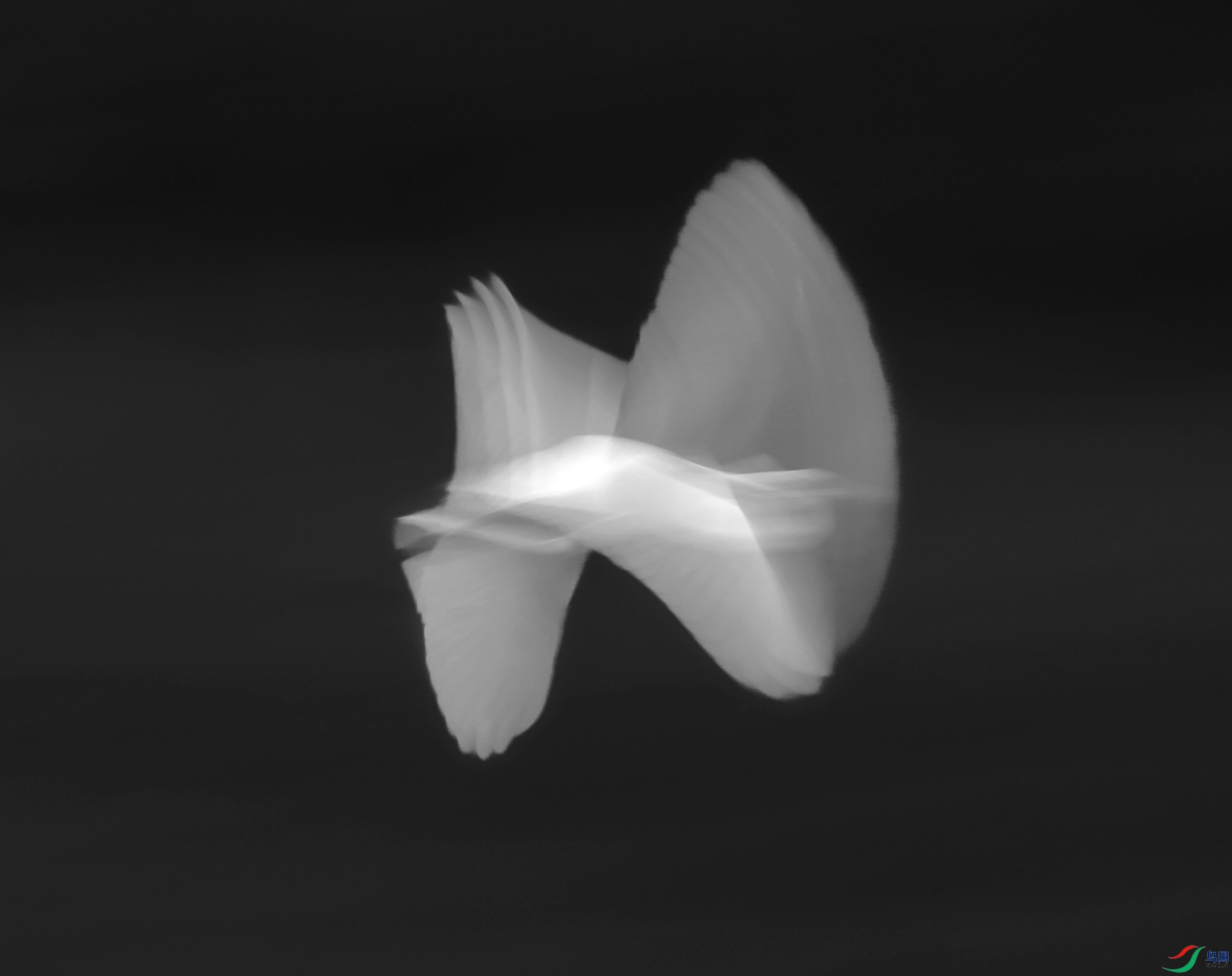 673A7039.JPG