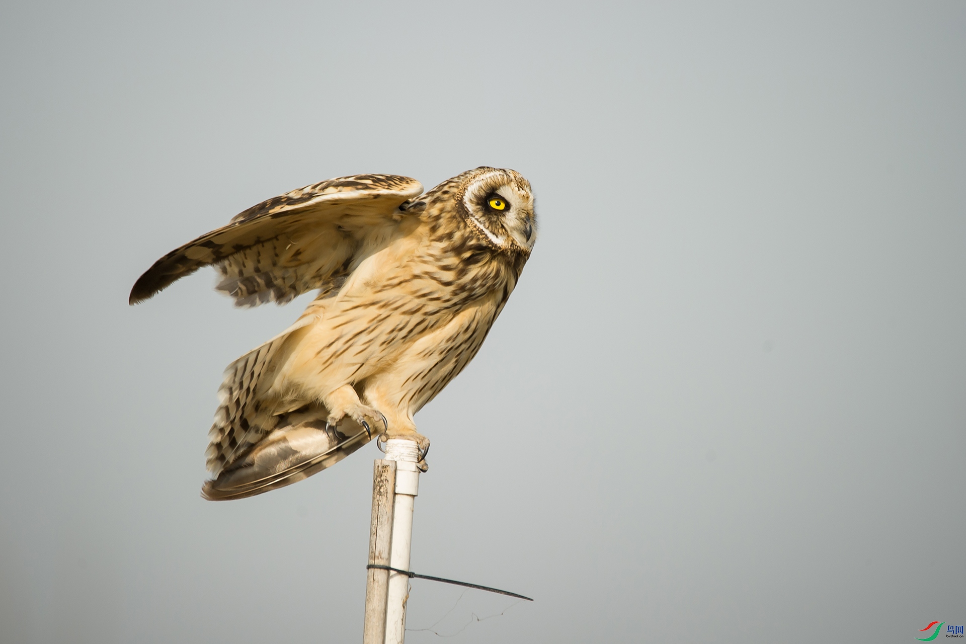 DSC_0313-20201207�ü�.jpg