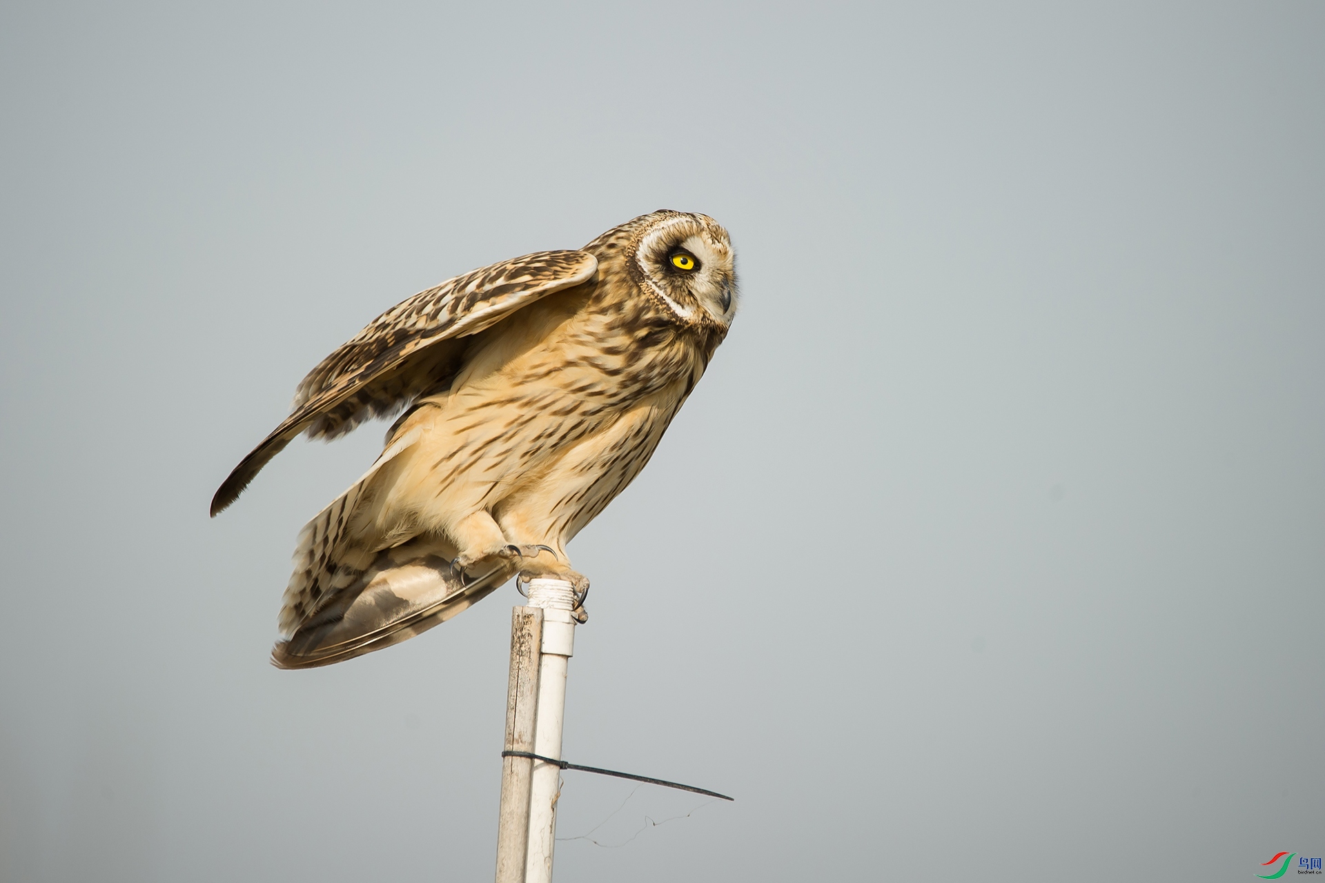DSC_0314-20201207�ü�.jpg