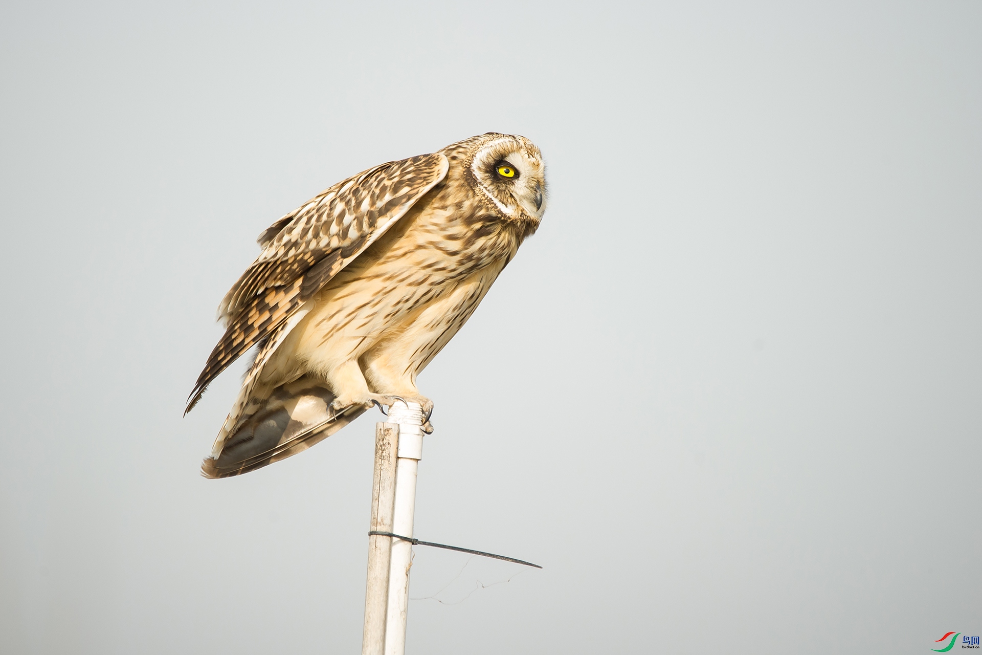 DSC_0319-20201207�ü�.jpg