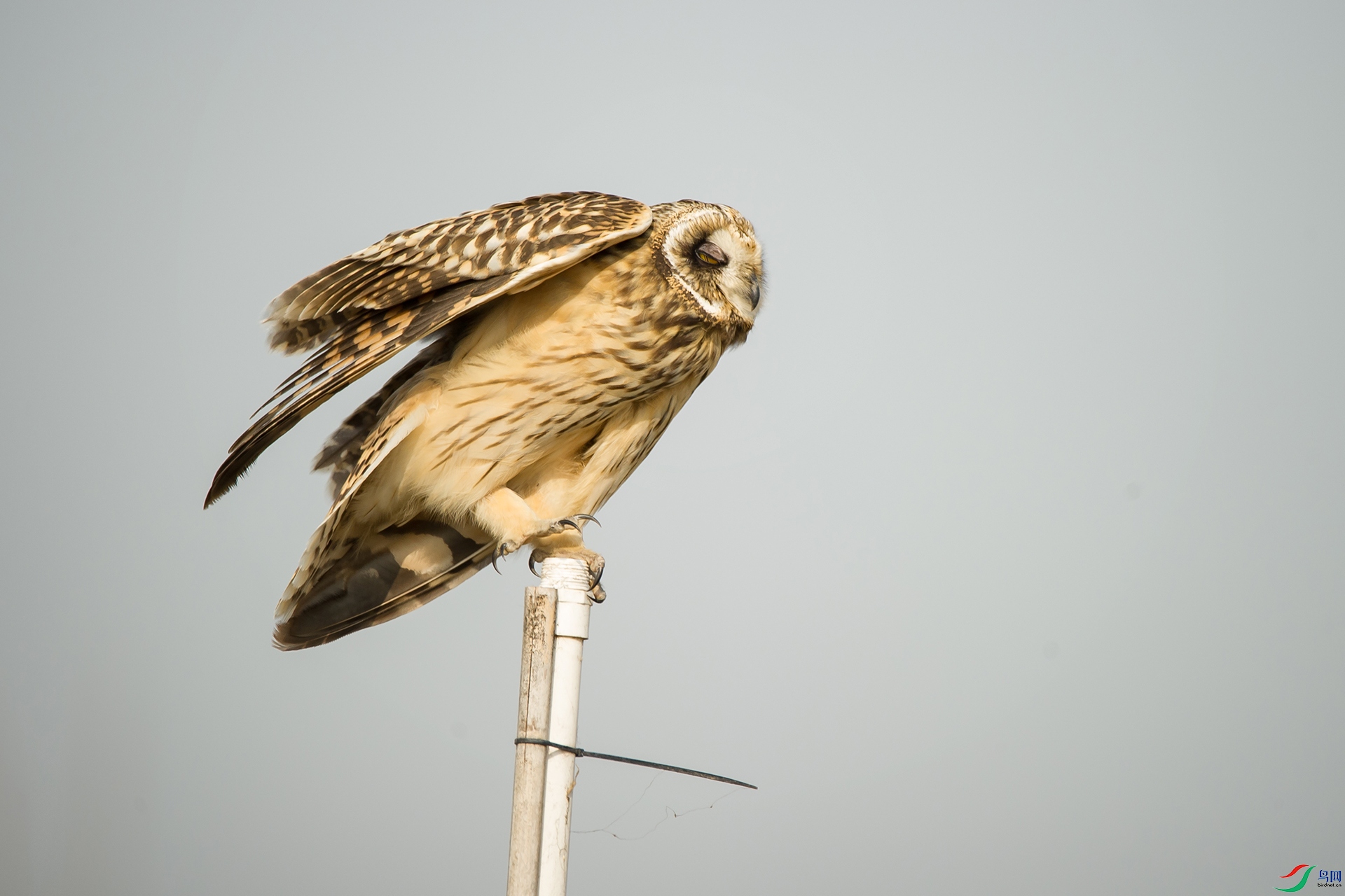DSC_0325-20201207�ü�.jpg