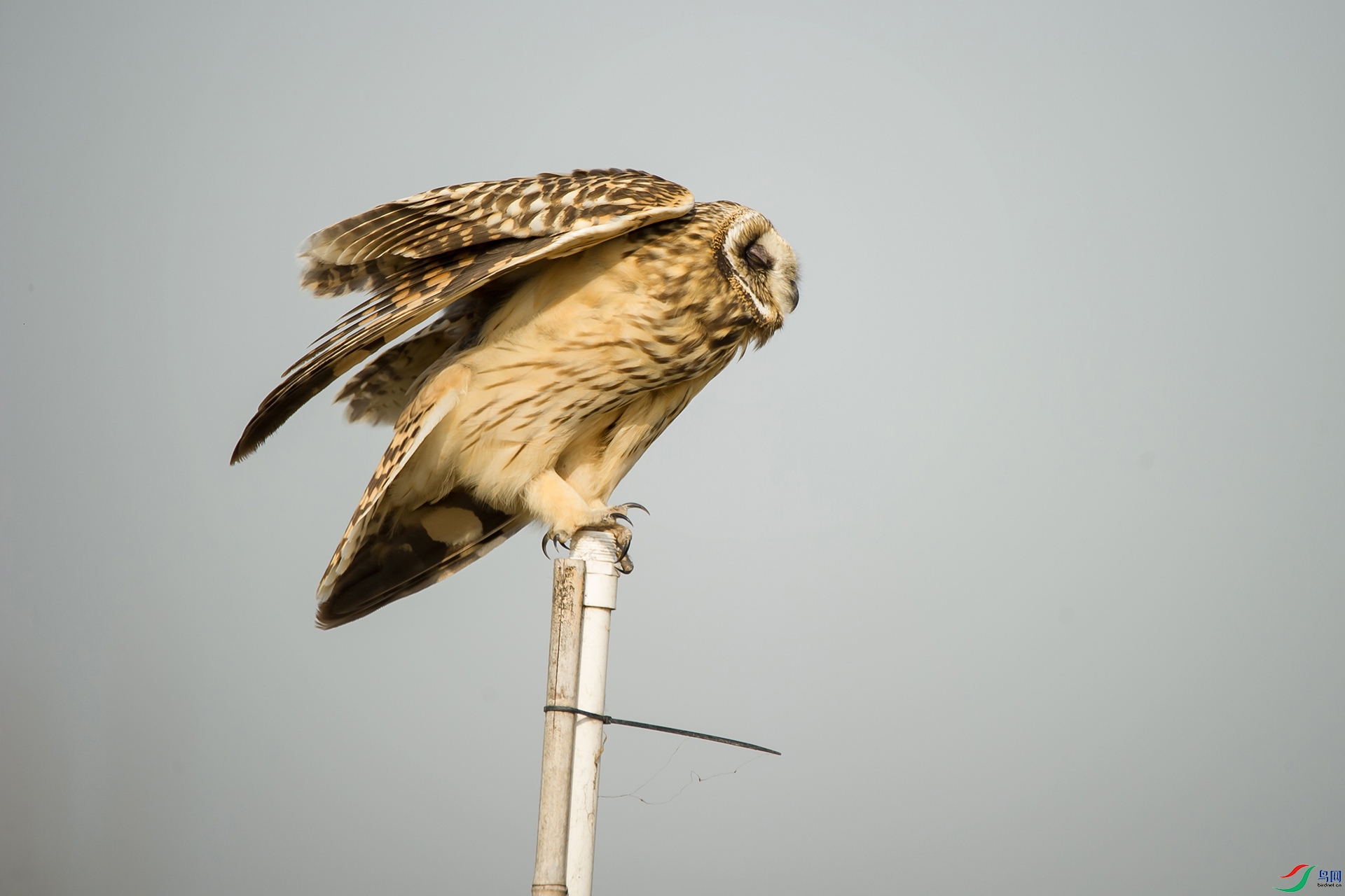 DSC_0326-20201207�ü�.jpg