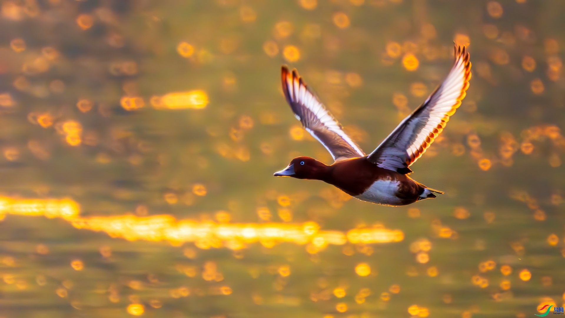 3.8��Ϻ��ʦ��Ʒ   Ϧ����Ӱ ��ף���ٻ�ÿ��һͼ��.jpg