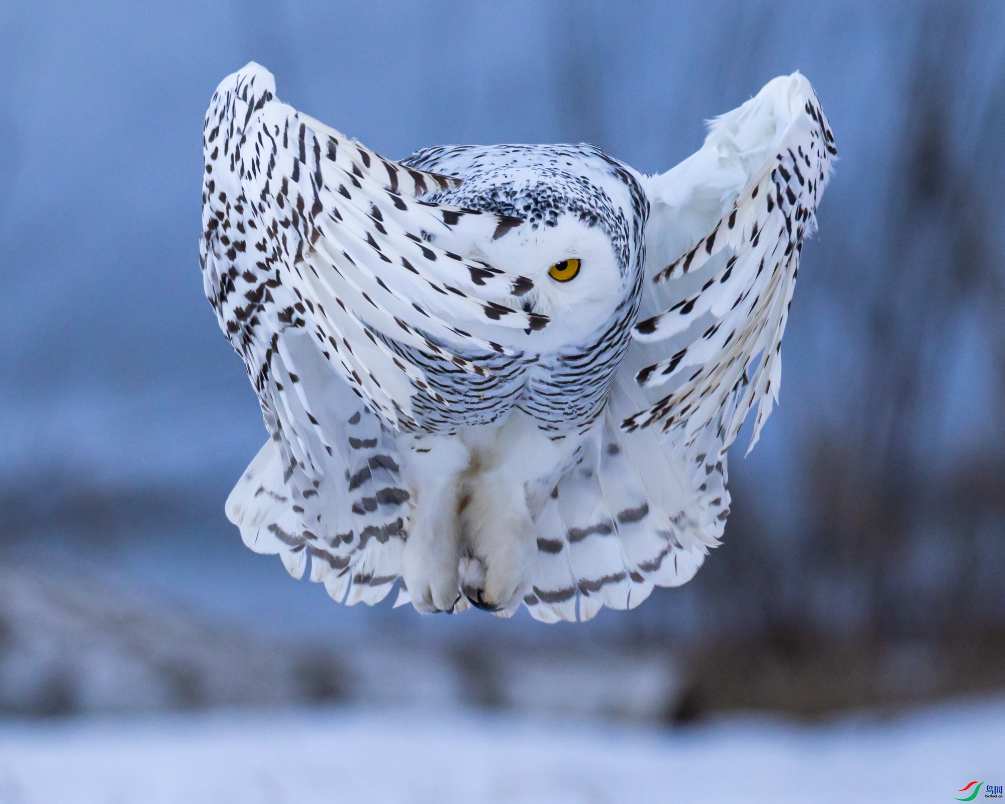 3.9�۶�������ʦ��Ʒ   ������ ��ף���ٻ���Ӱʦ������.jpg