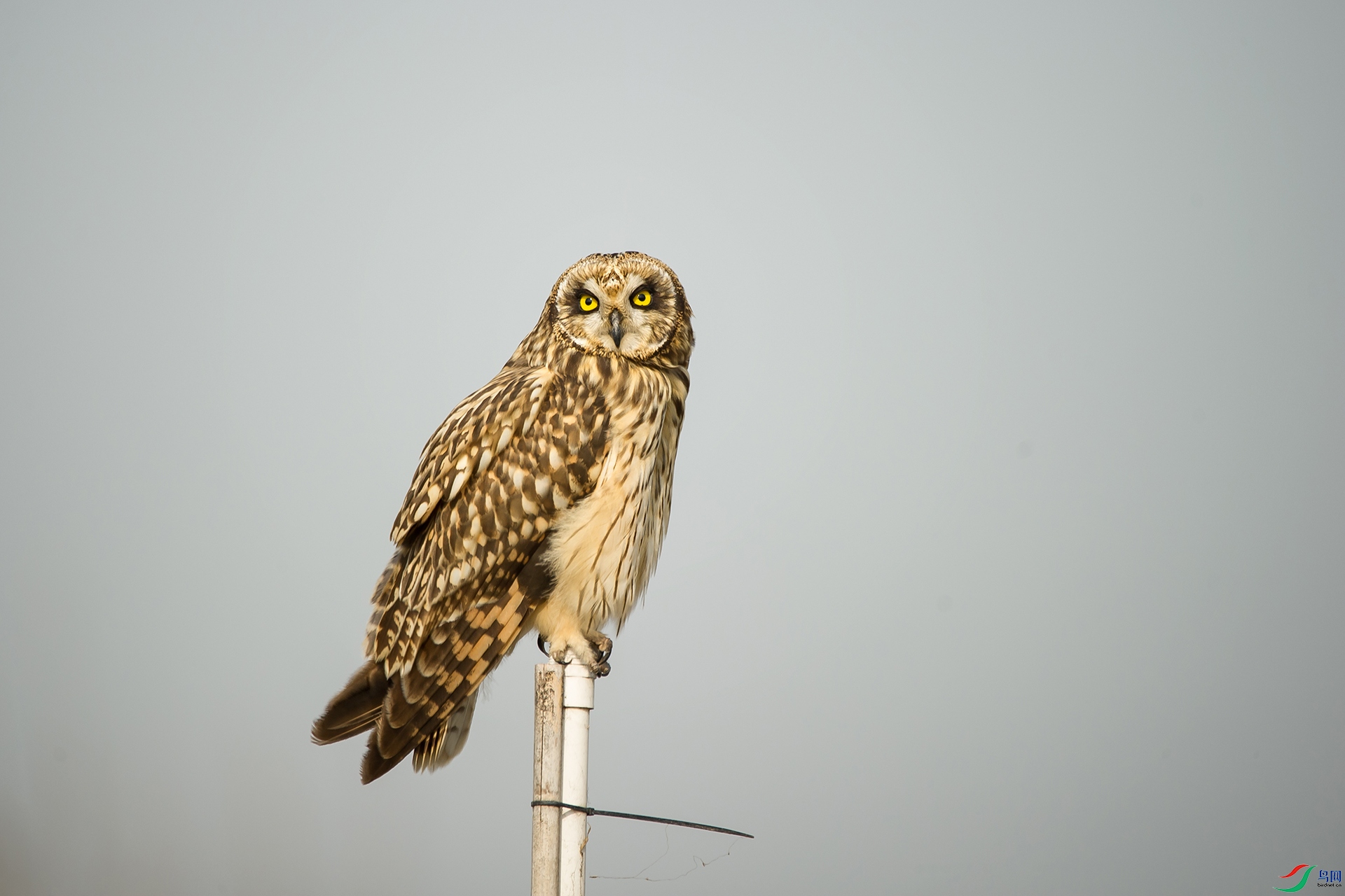 DSC_0343-20201207�ü�.jpg