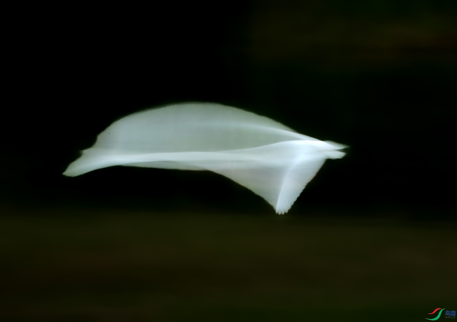673A7668.JPG