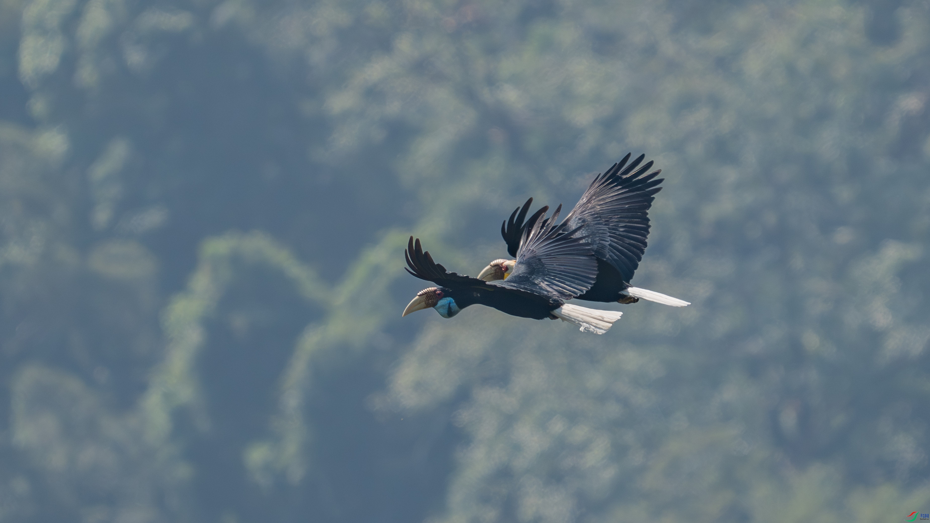 _DSC7113 ����.jpg