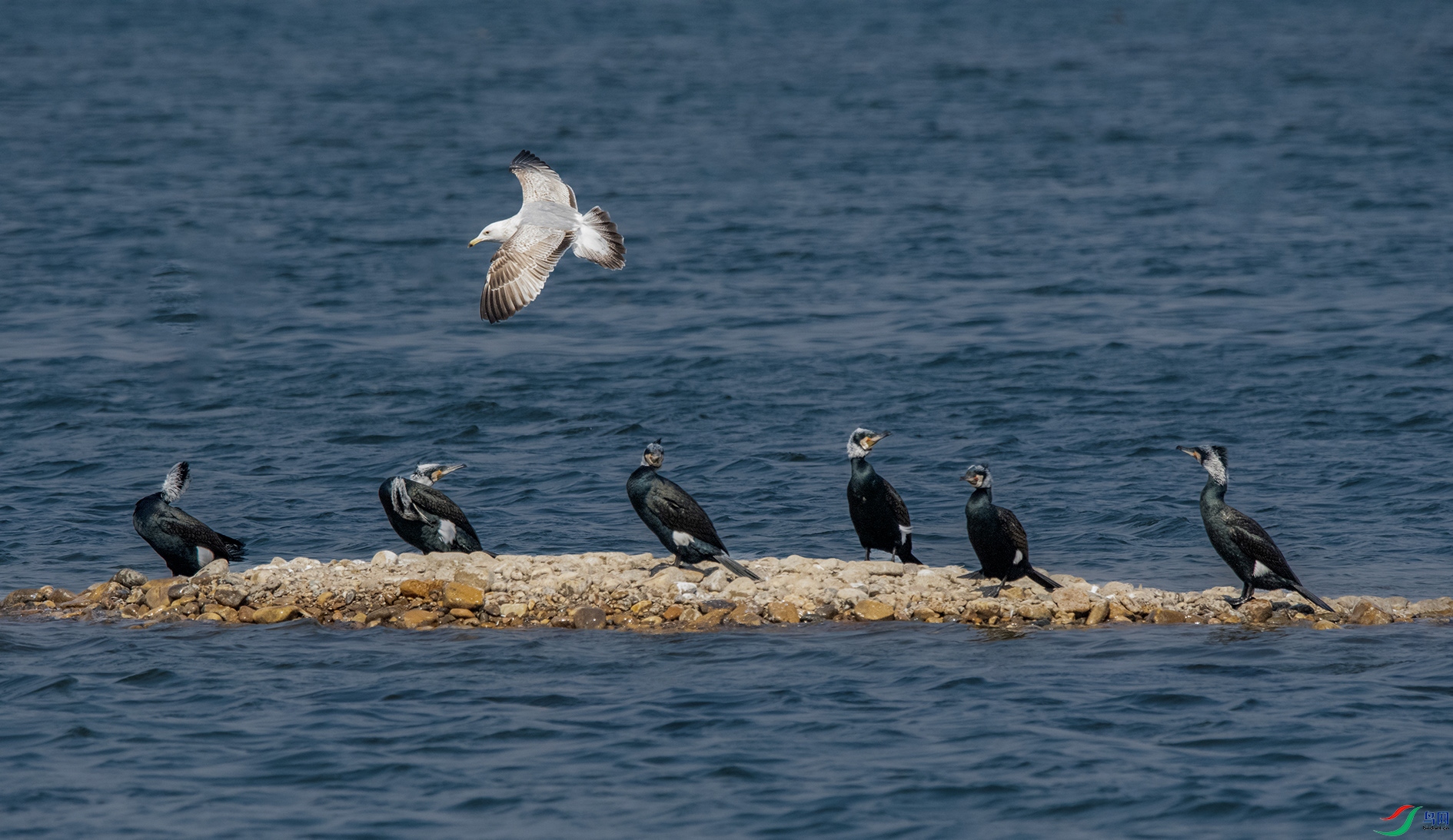 DSC_9816_��ͼ�� ����.jpg