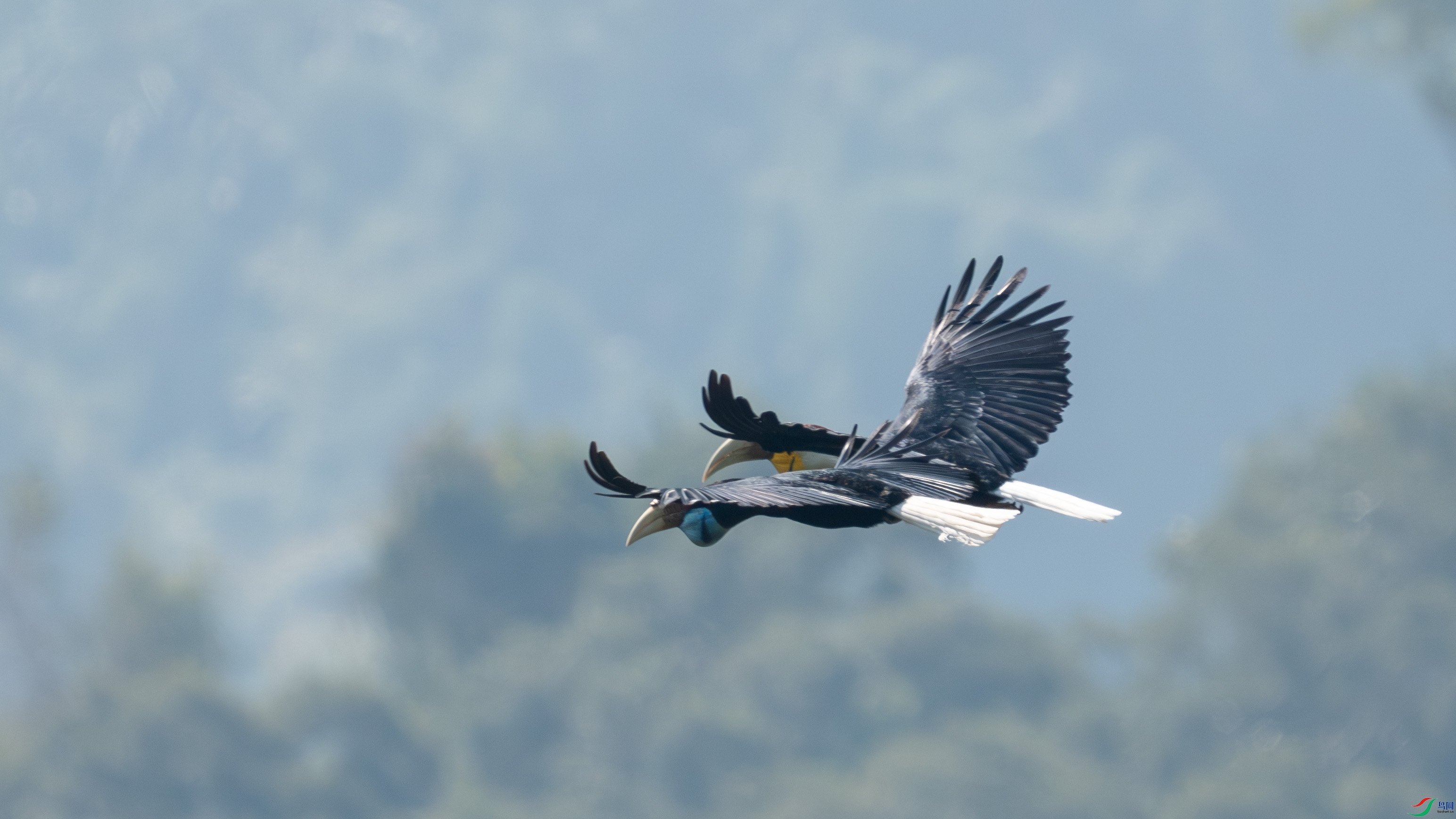 _DSC7122 ����.jpg