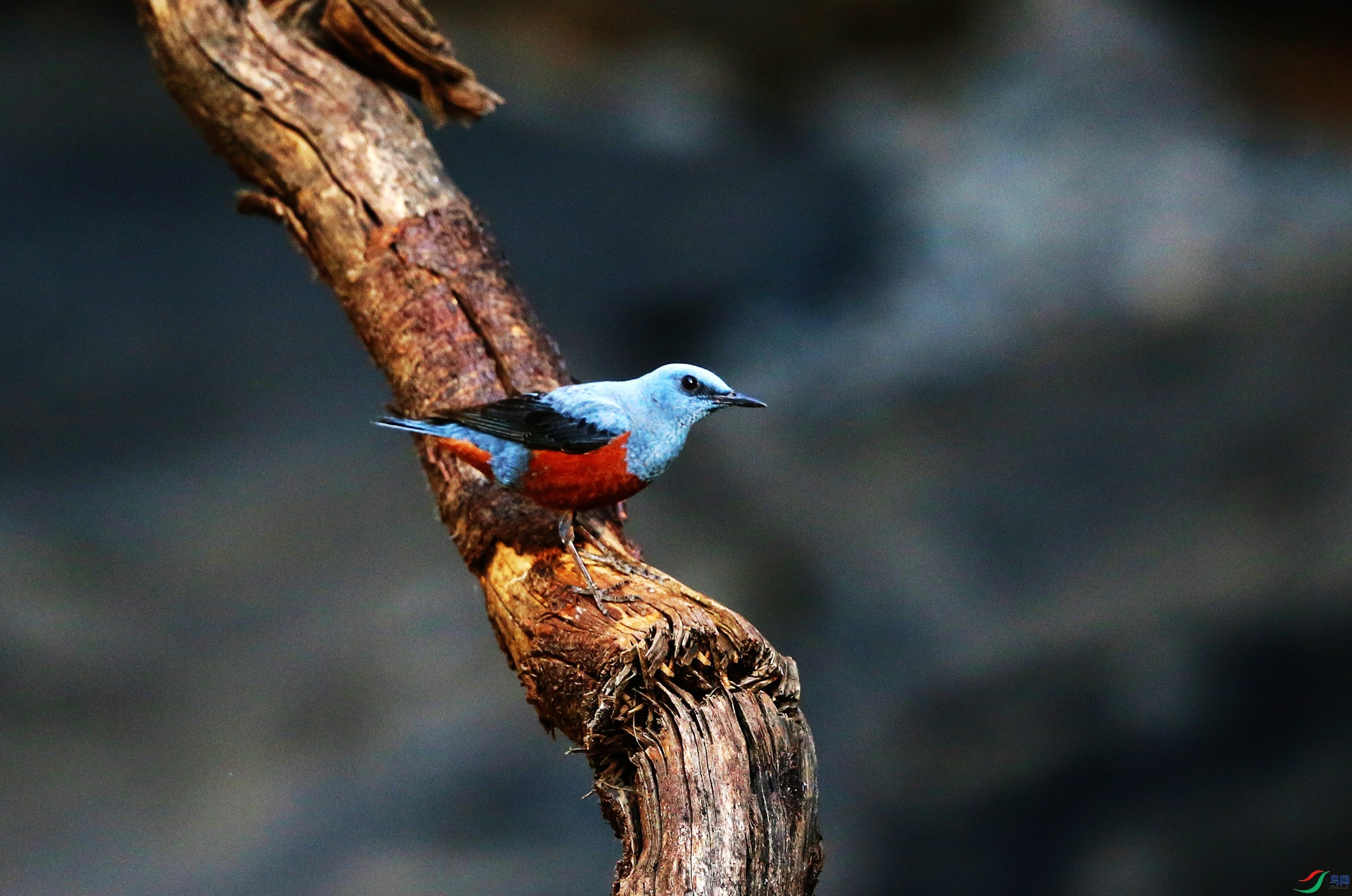 ��ߴ� (33).JPG