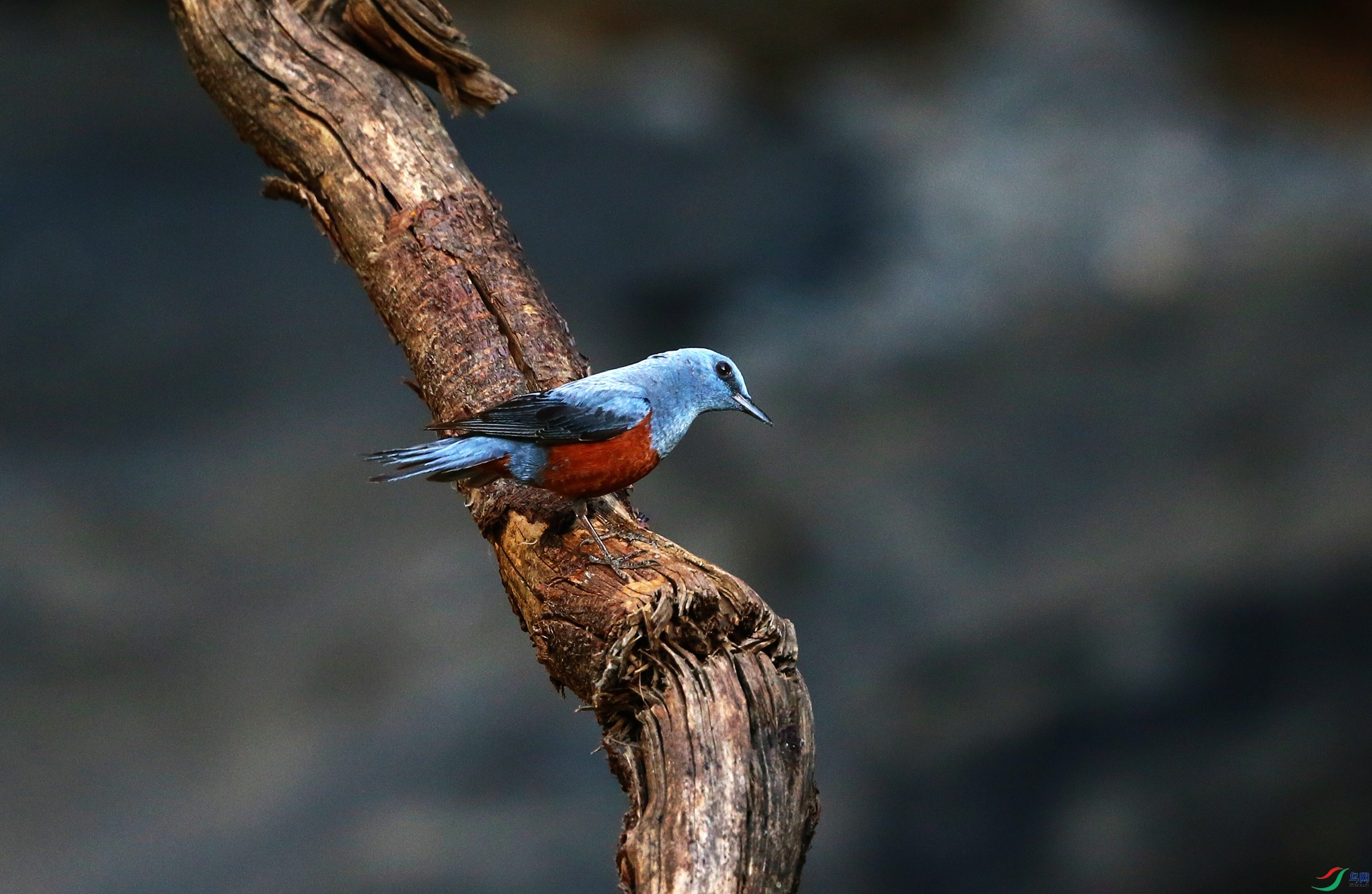 ��ߴ� (35).JPG