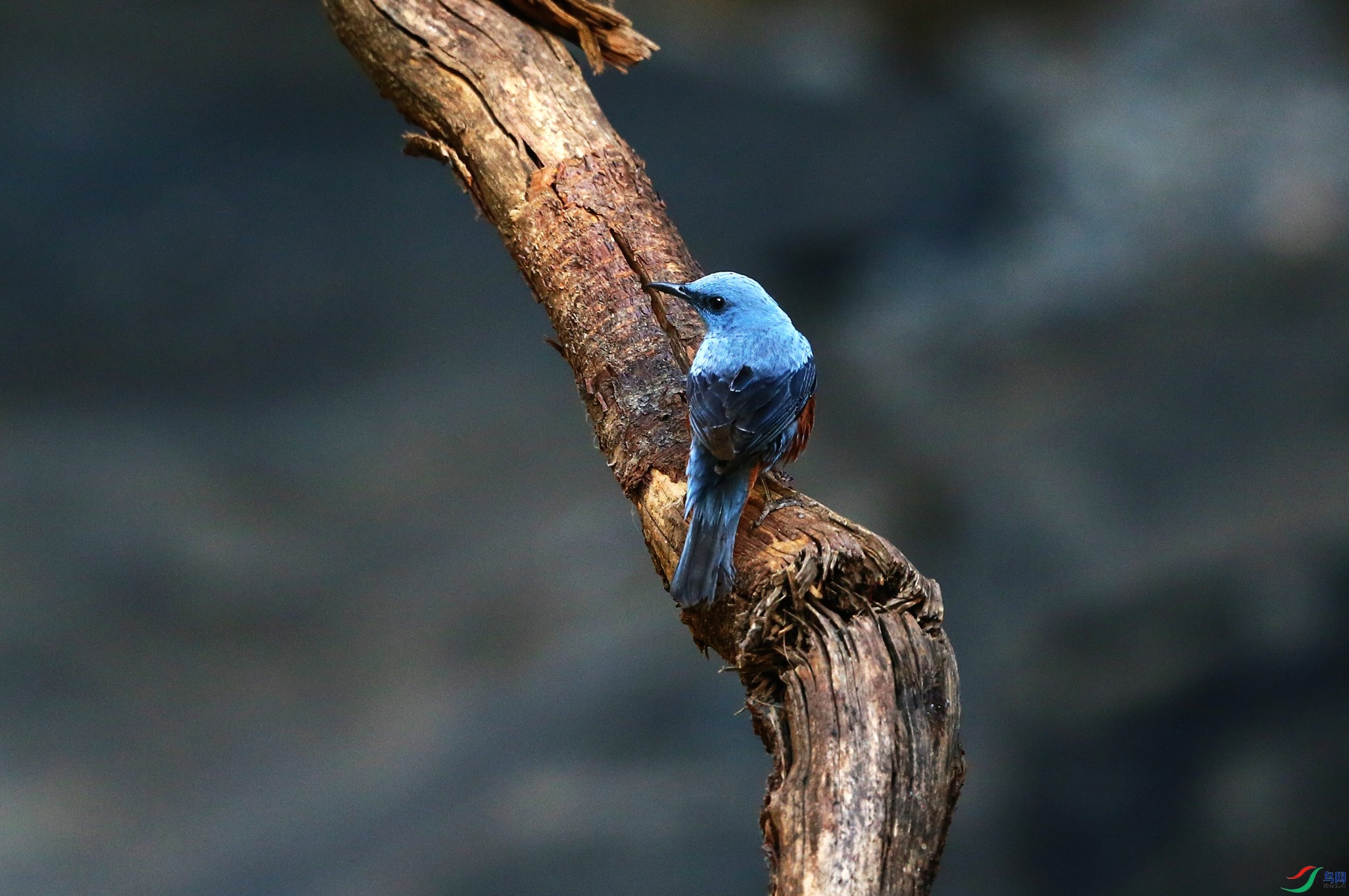 ��ߴ� (38).JPG