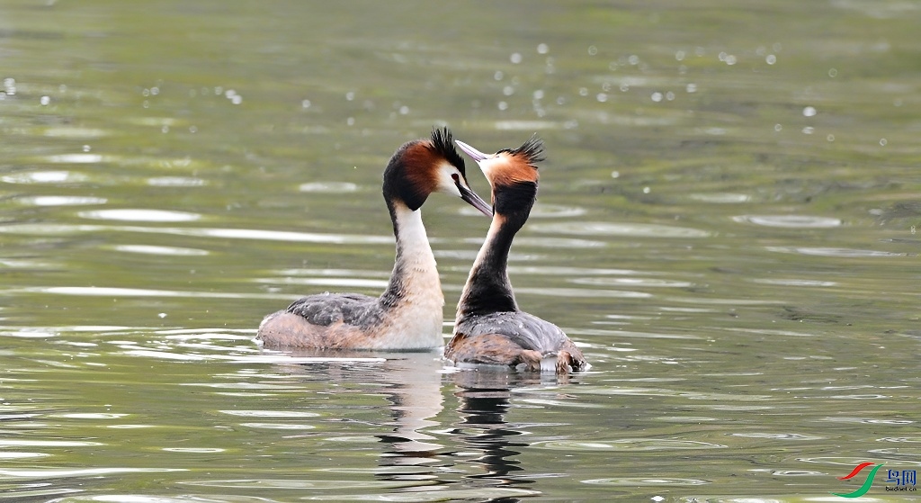 DSC_6644.JPG