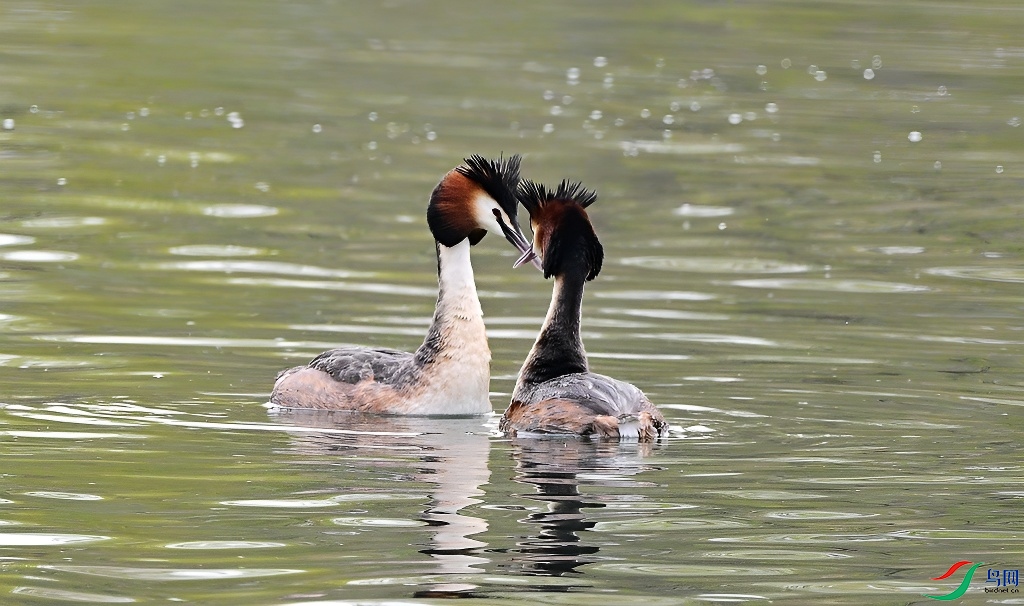 DSC_6647.JPG