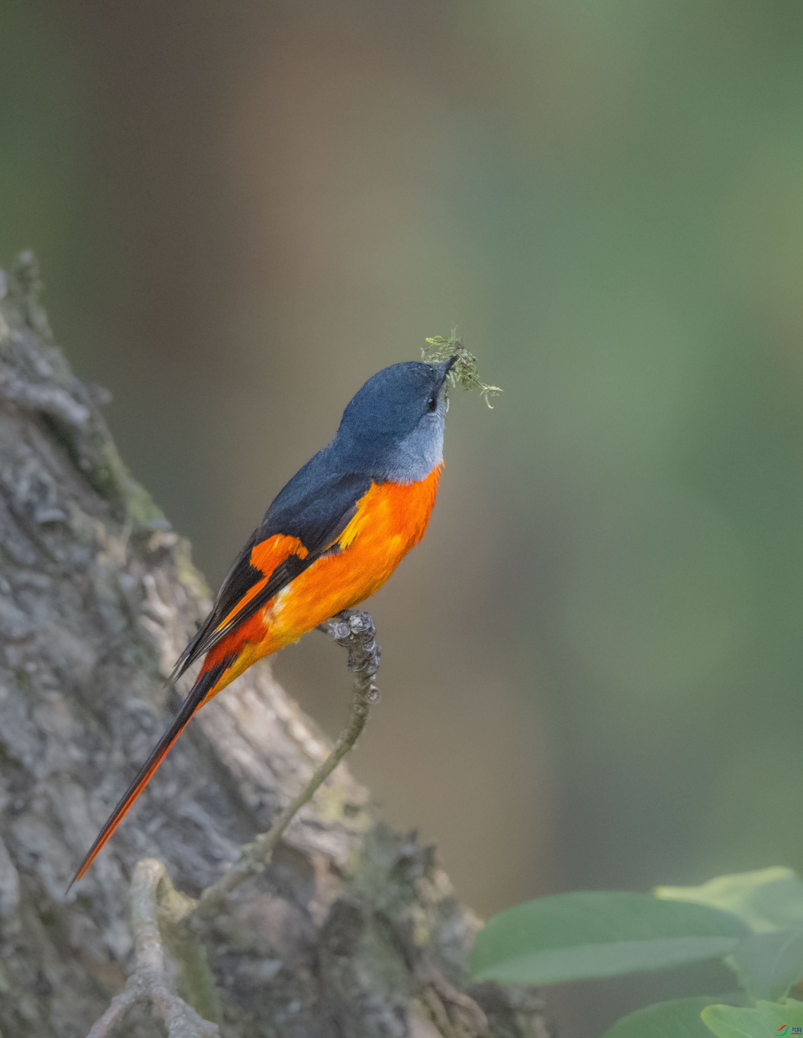 DSC_6577.jpg