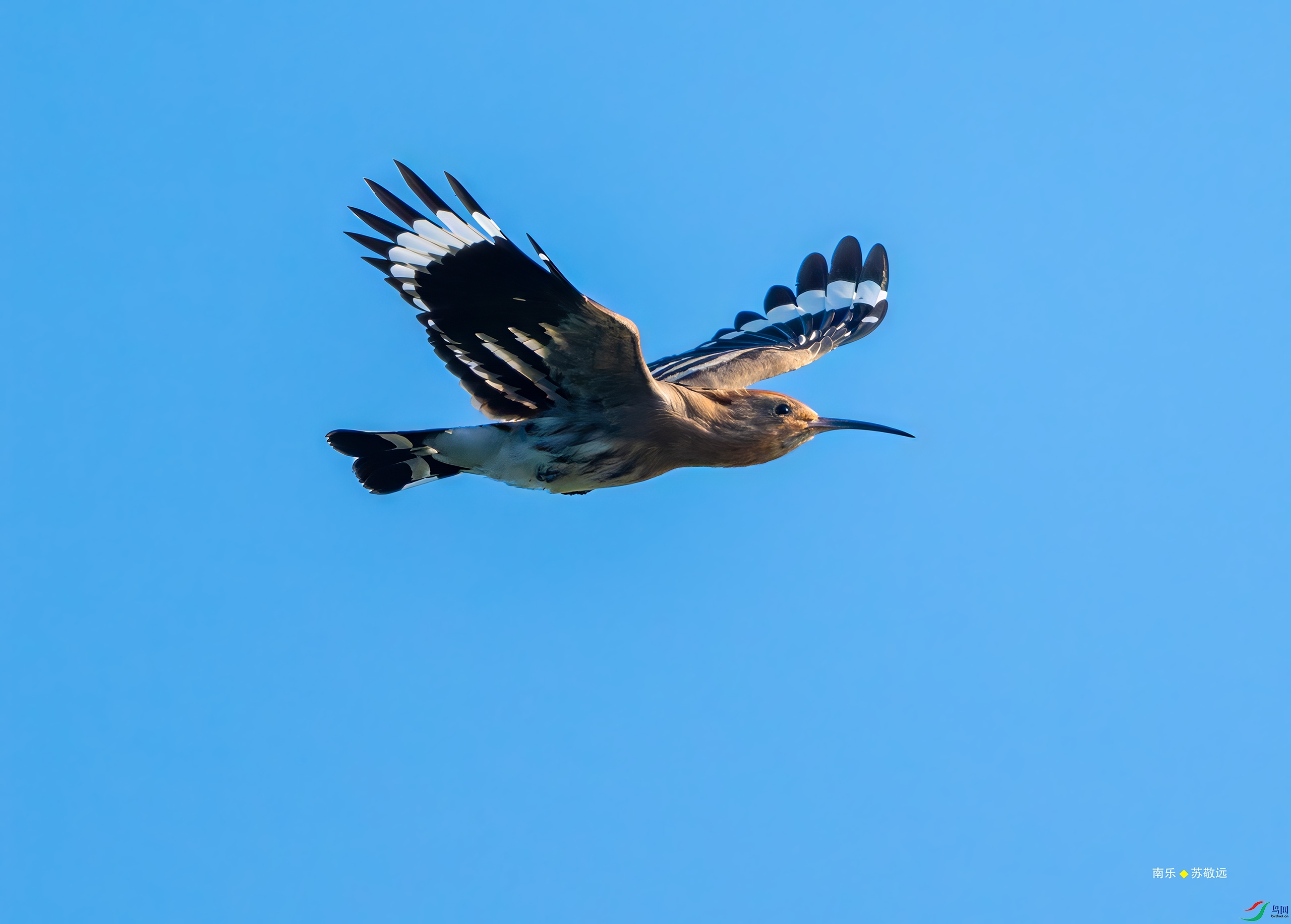 _DSC3883-DxO_С.jpg