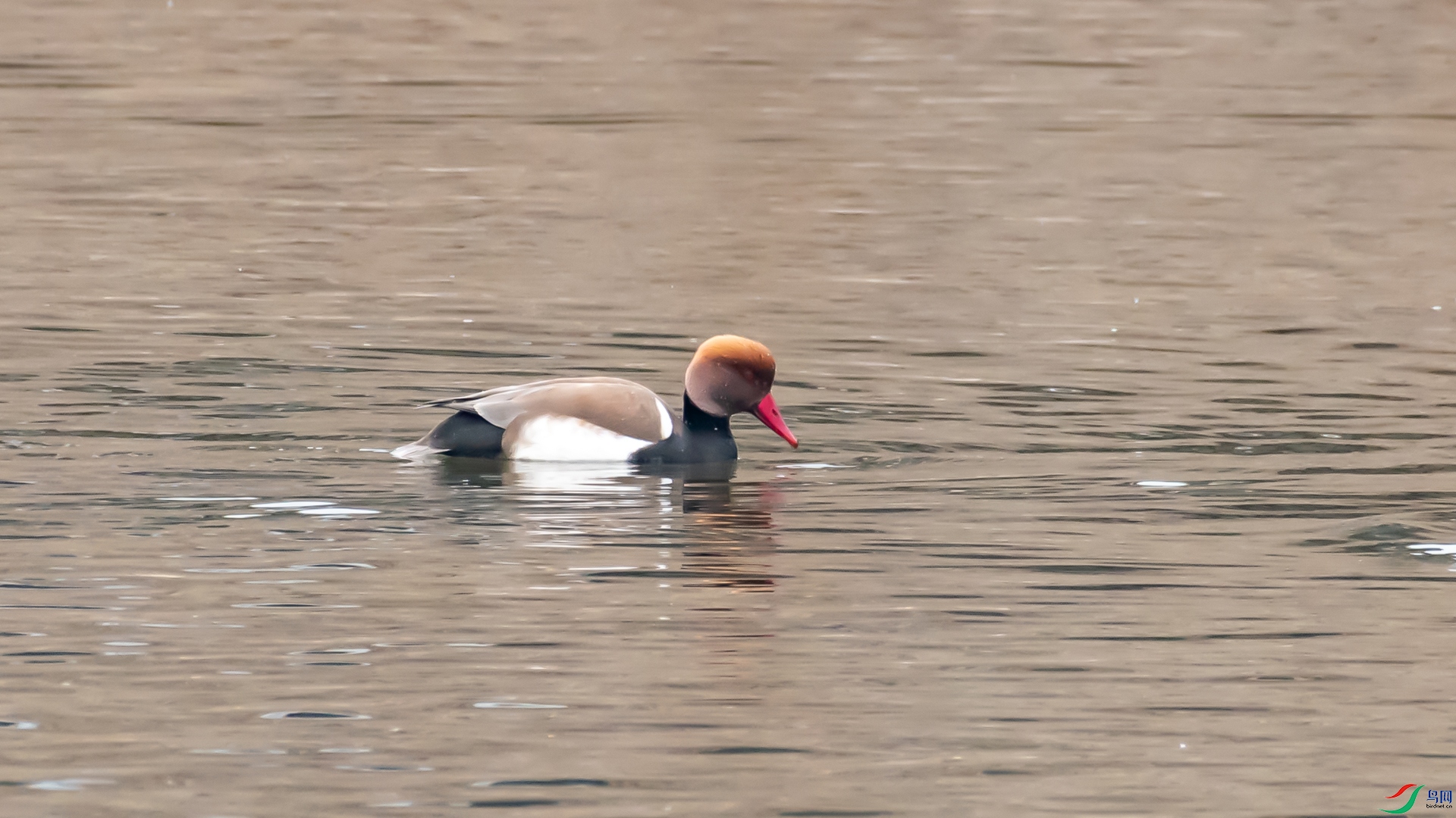 _DSC6580.jpg
