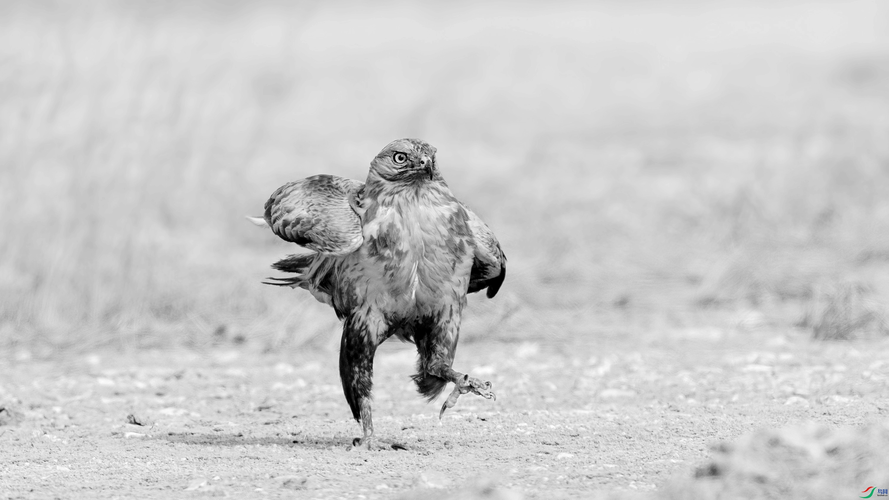 DSC05985 ����_����.jpg