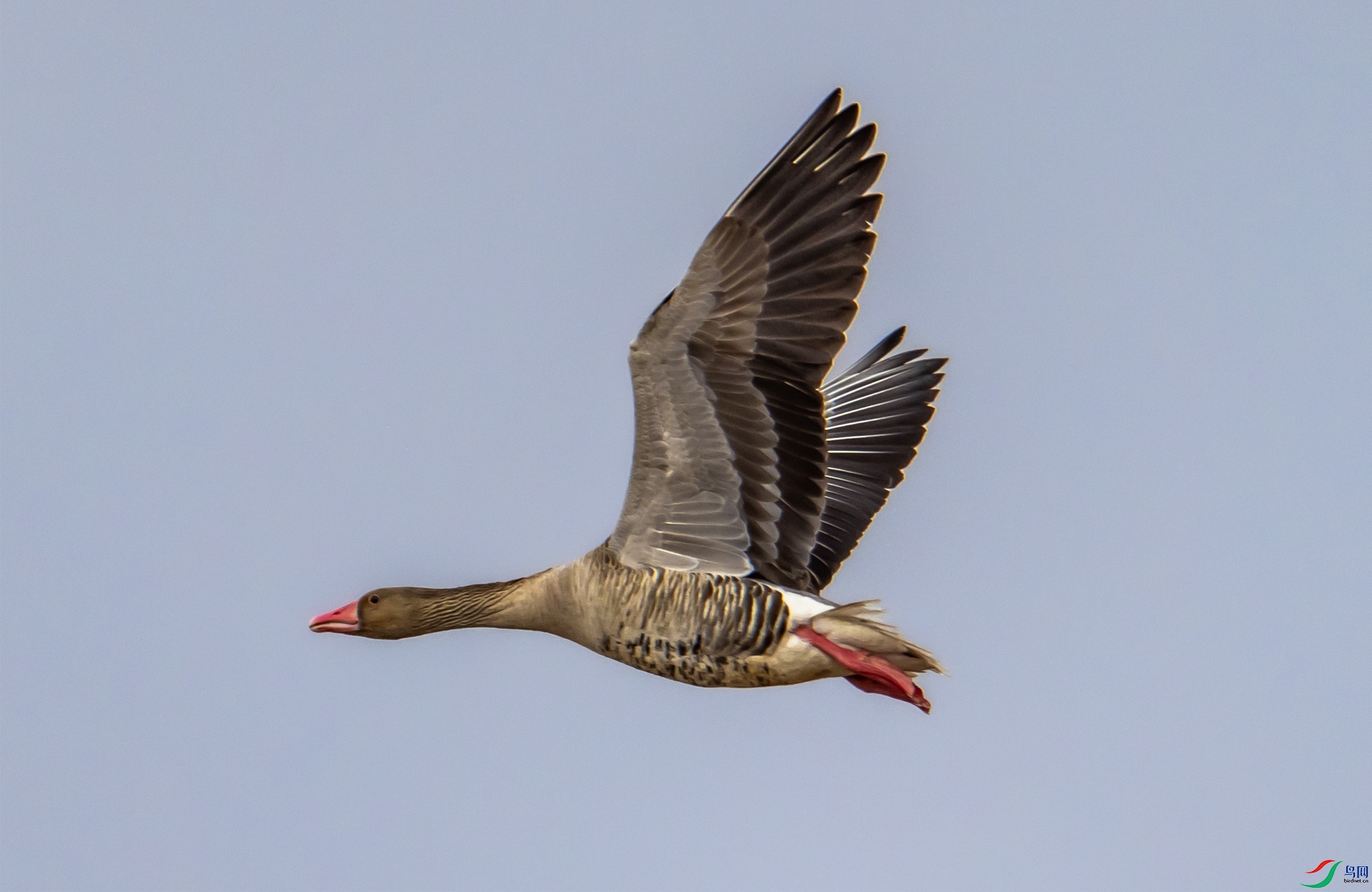 4K2A7750 ����001.jpg