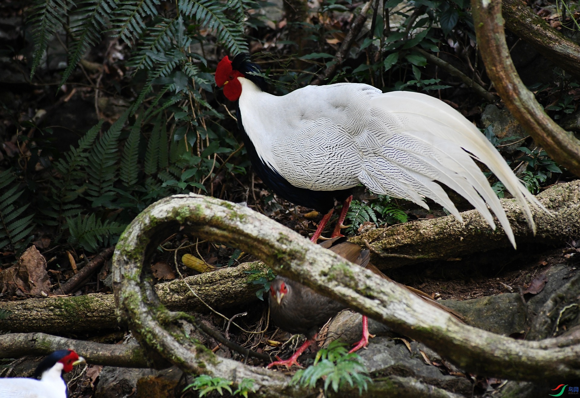 DSC_0523.jpg