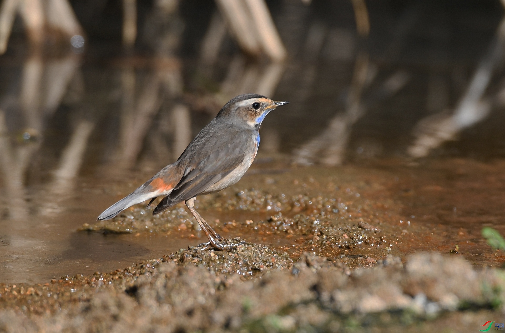 DSC_4899.jpg