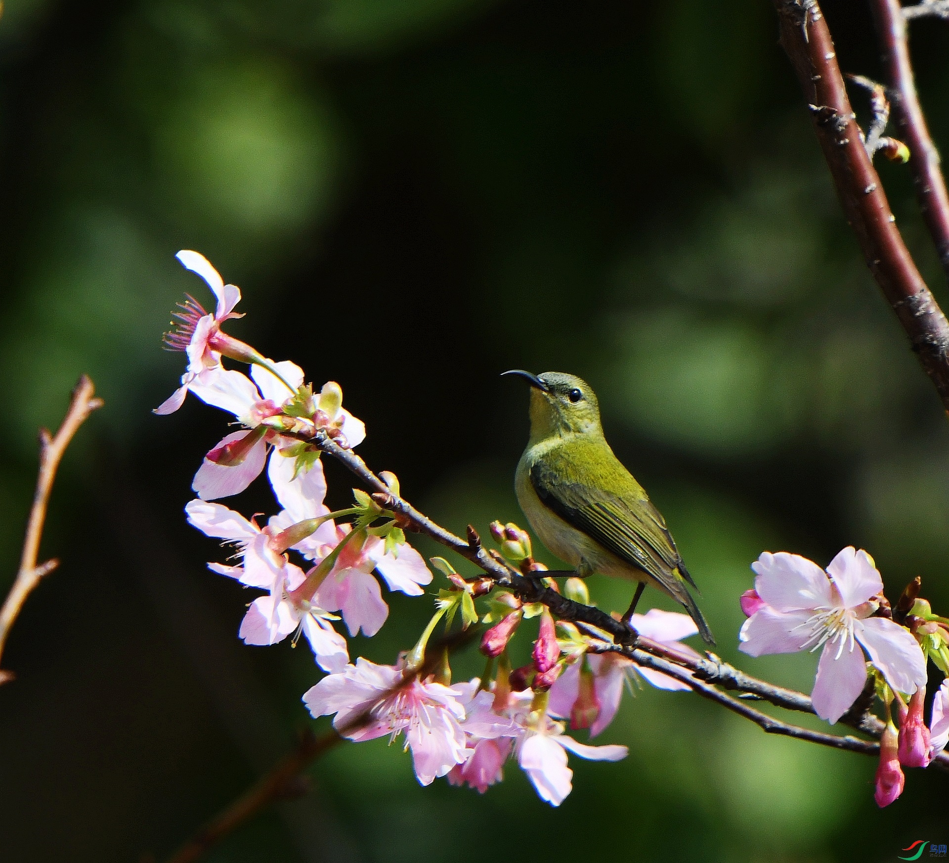 DSC_7163.jpg