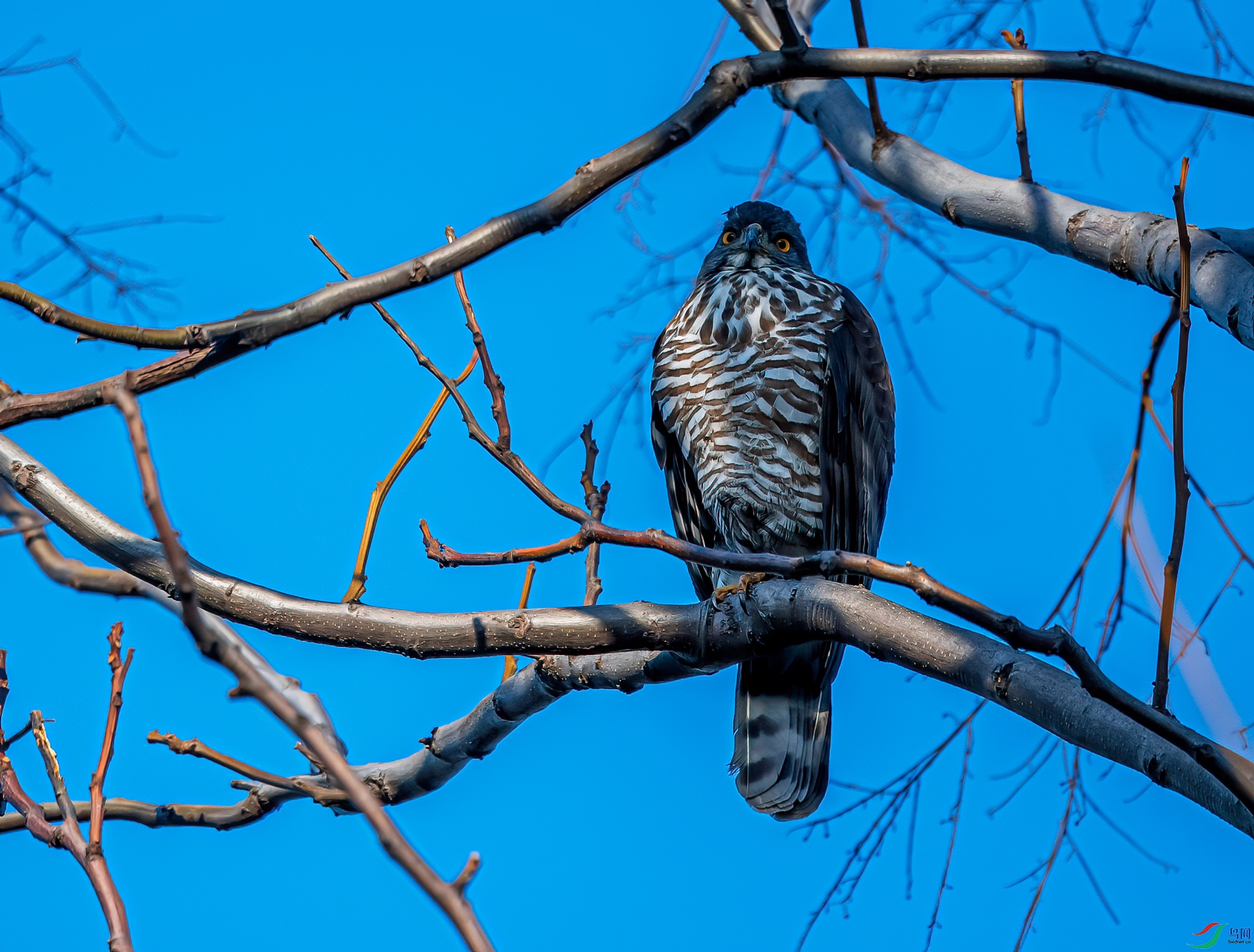 DSC_7874-11.jpg