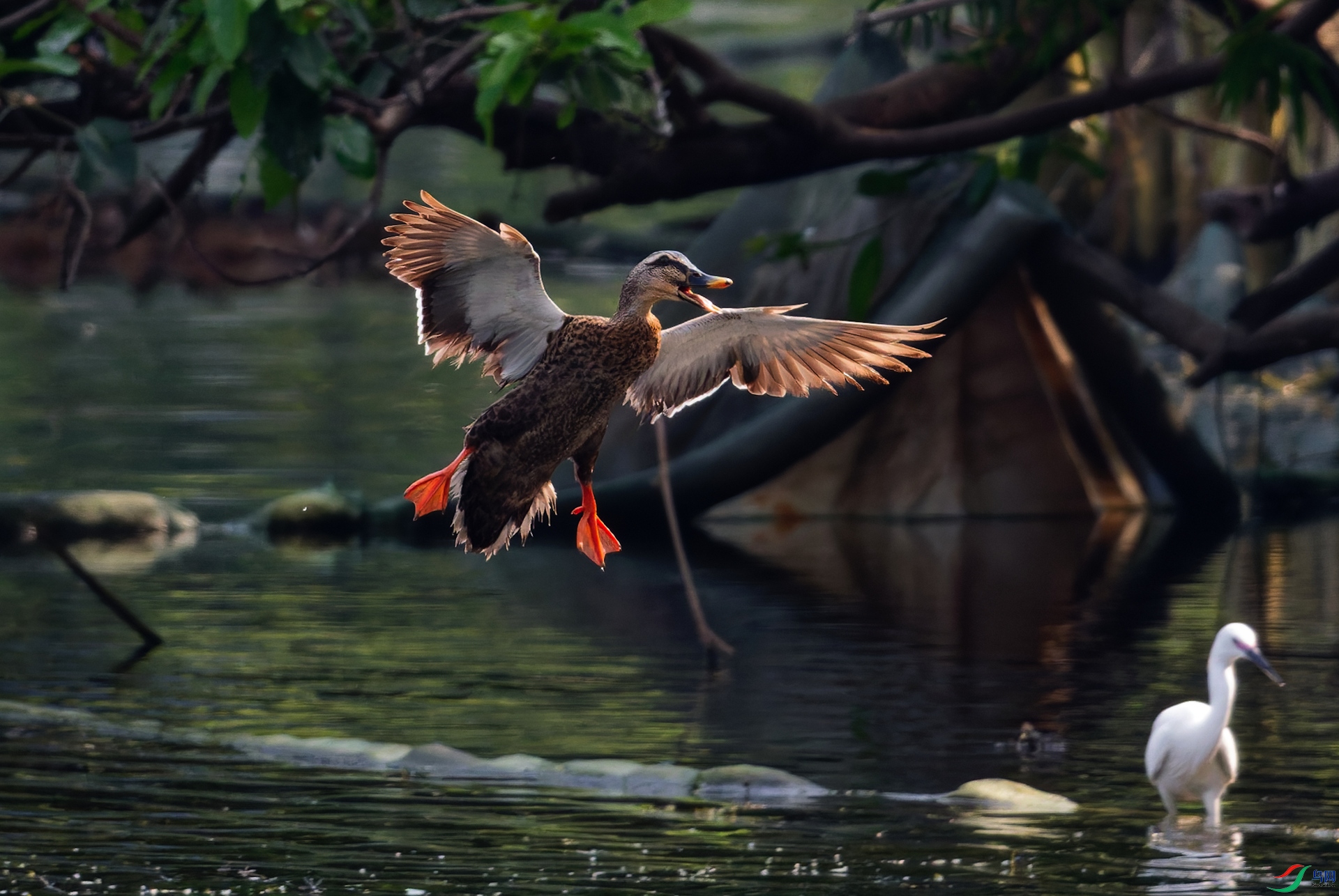 DSC_0657-DxO_DeepPRIME XD3_DxO_����_����.jpg