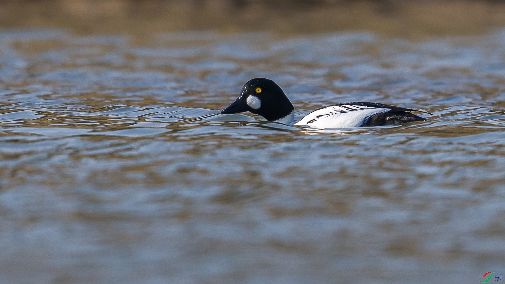 051A5279 ����n.jpg