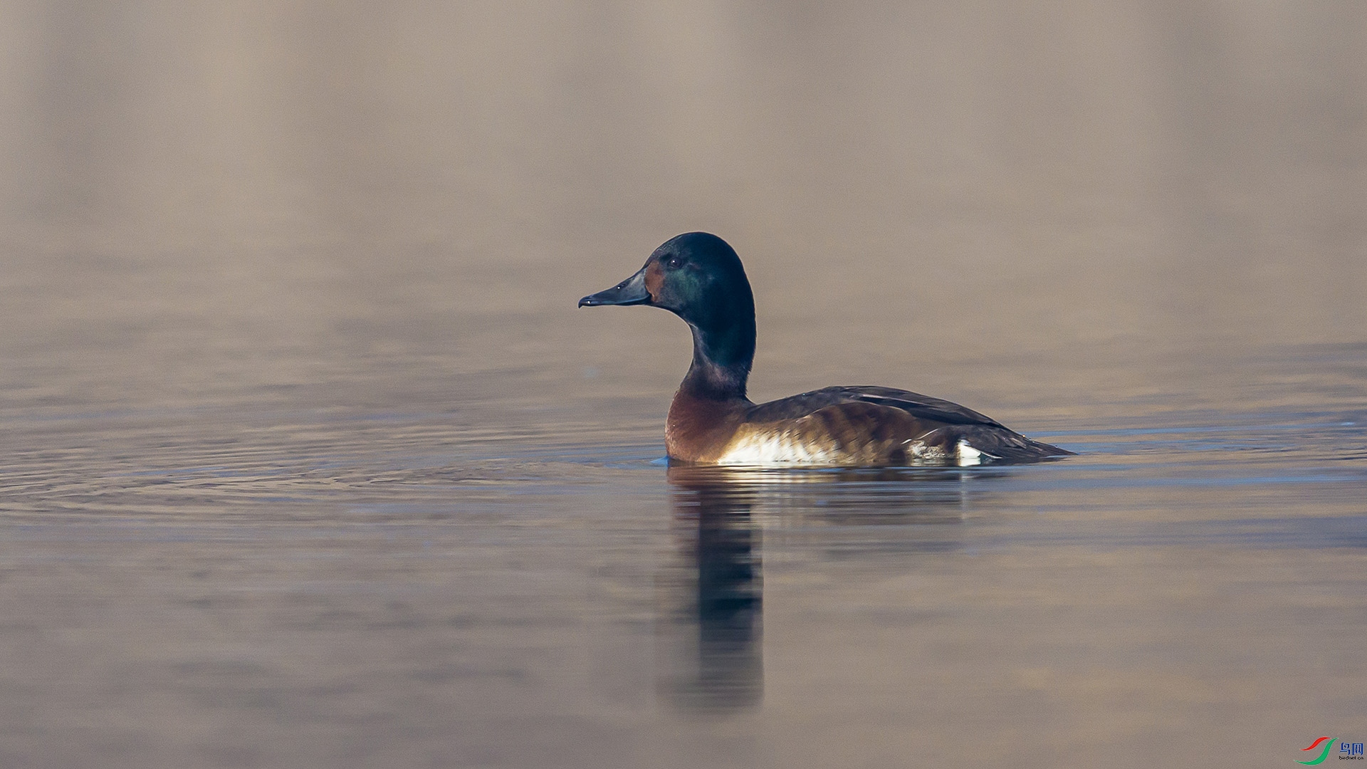 051A5112 ����n.jpg