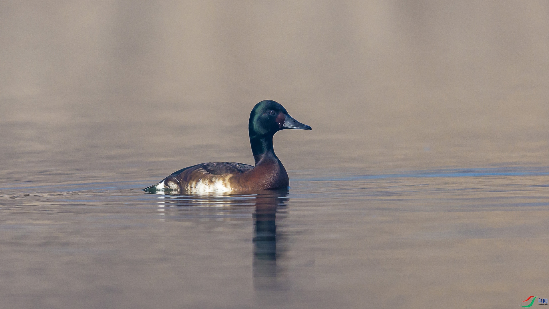 051A5144 ����n.jpg