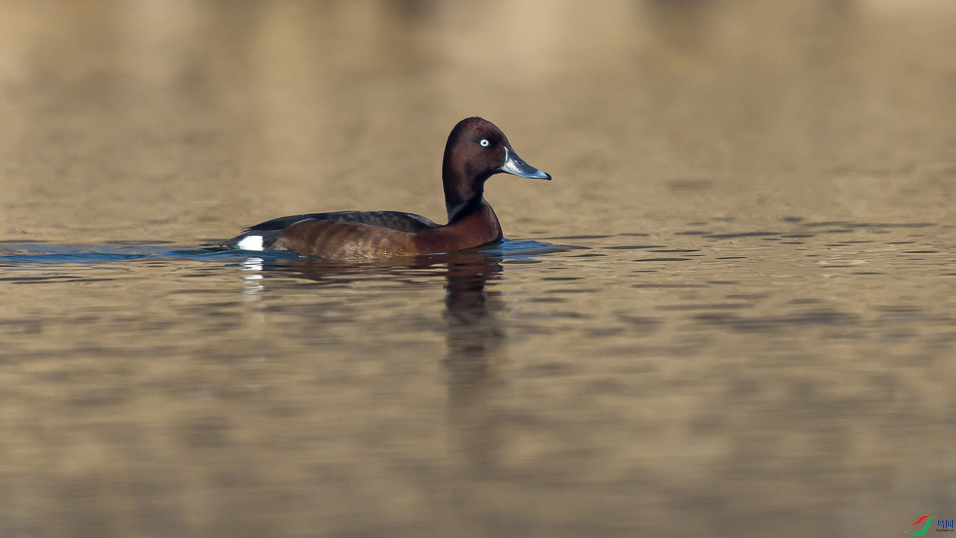 051A5173 ����n.jpg