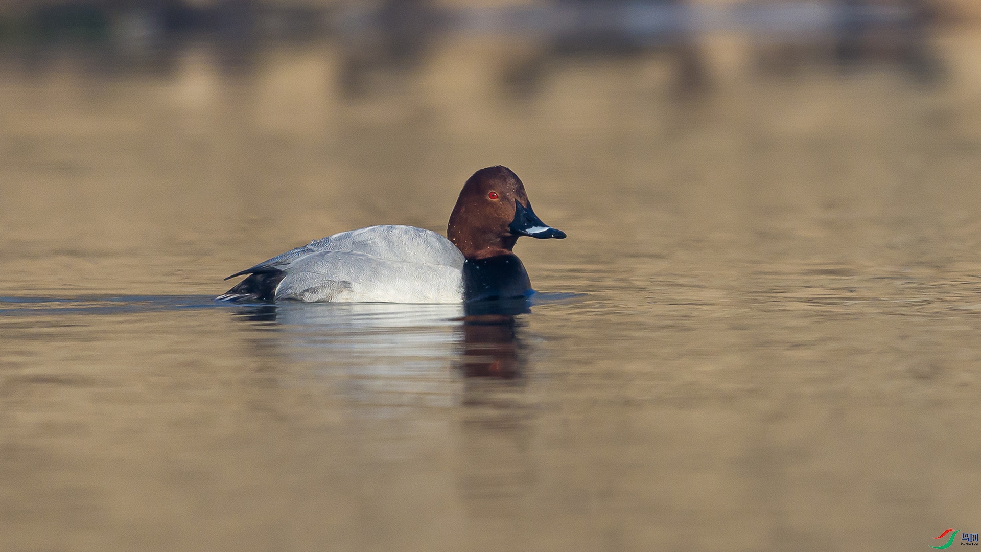 051A5023 ����n.jpg