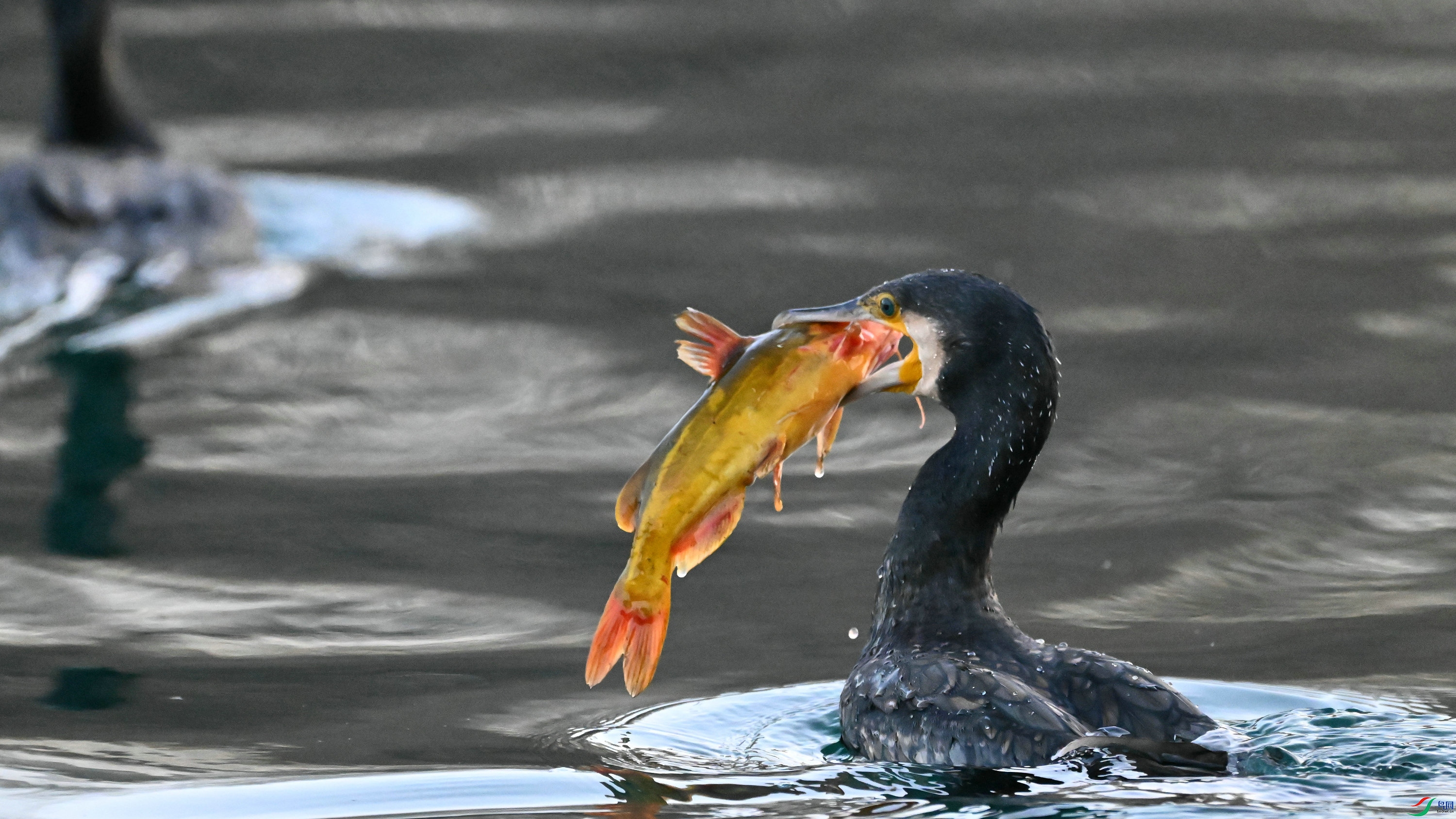 DSC_2791.JPG
