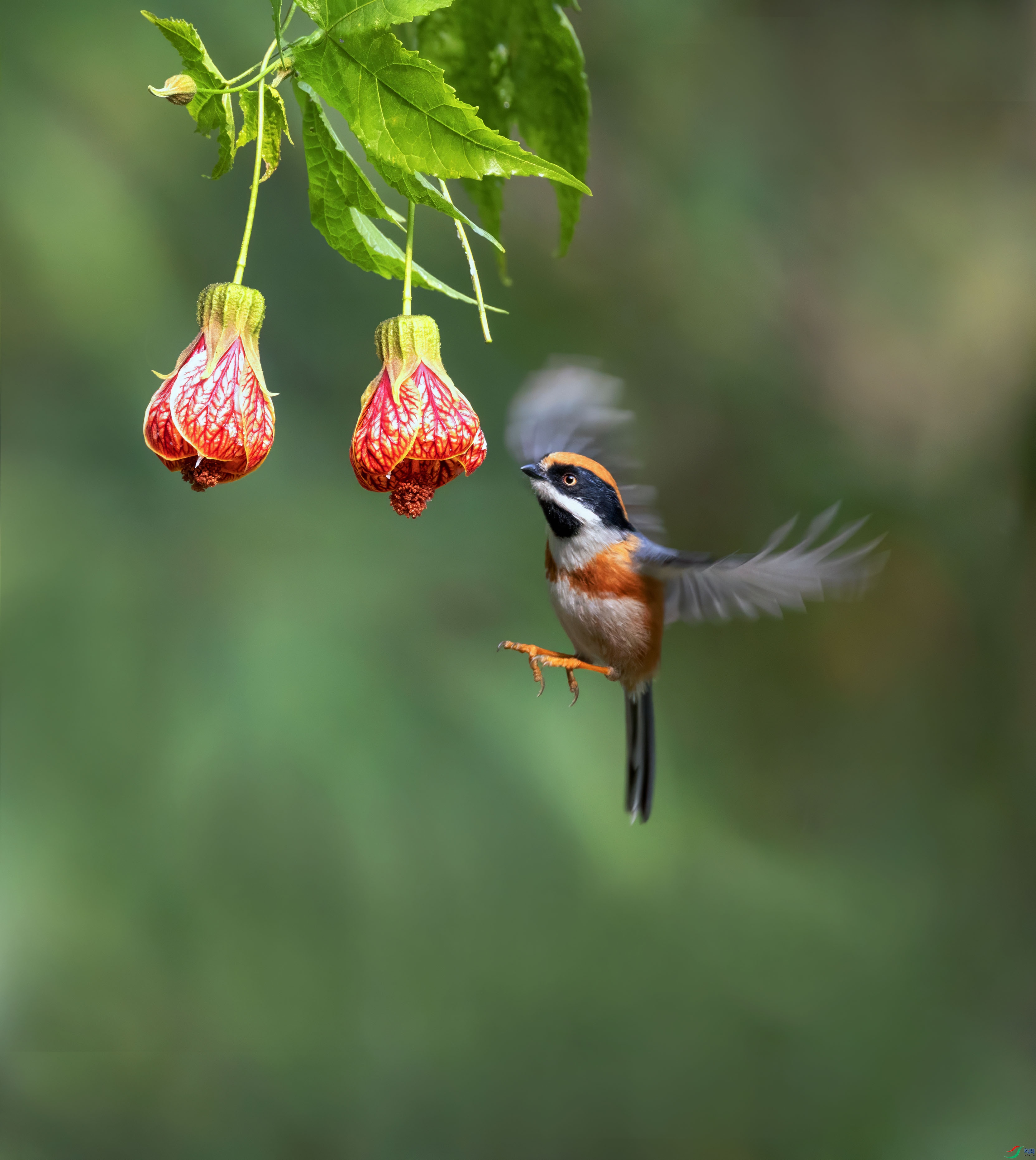 5N9A3006 ���� 2.jpg