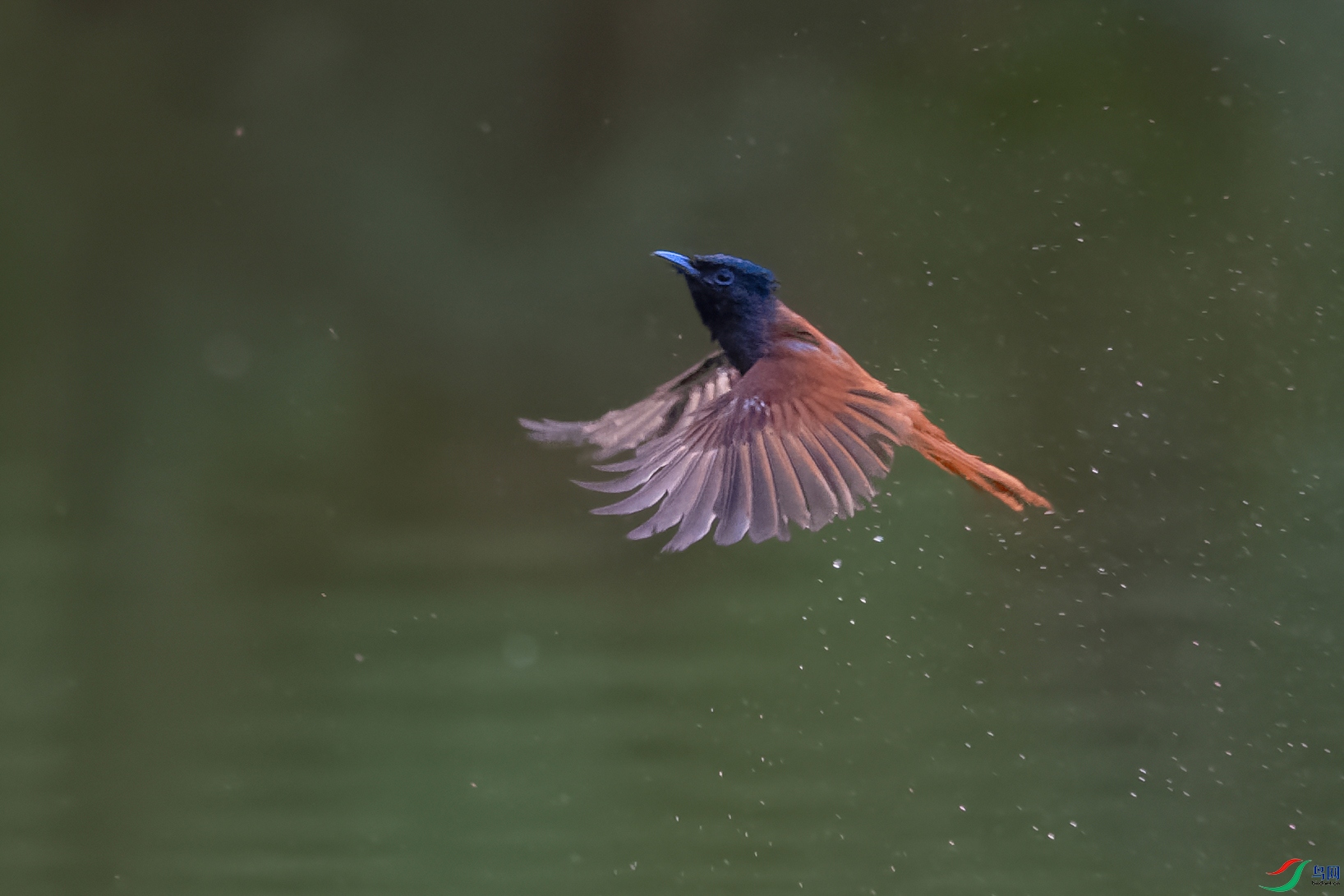 DSC_3656_DxOa.jpg