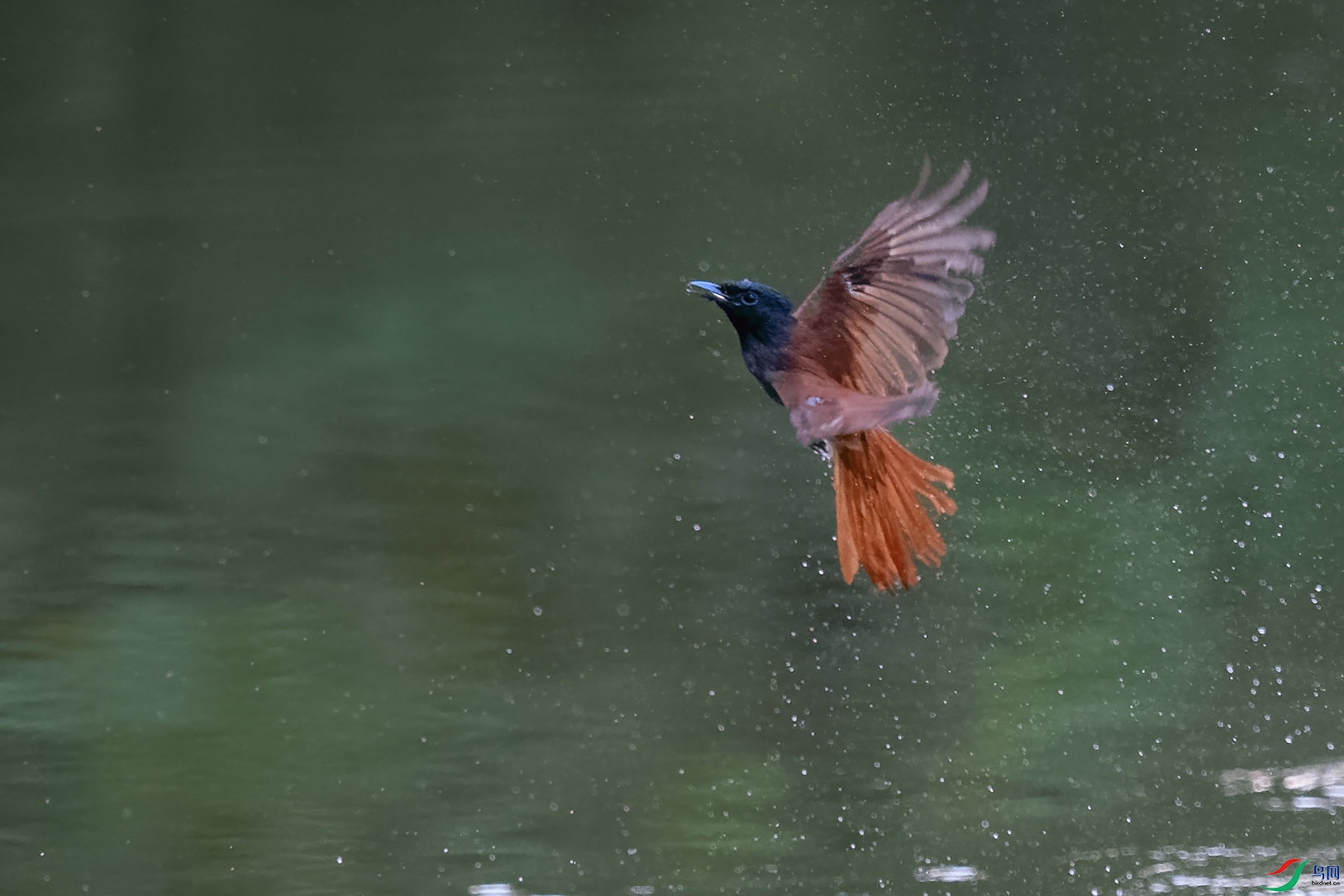 DSC_3669_DxOa.jpg
