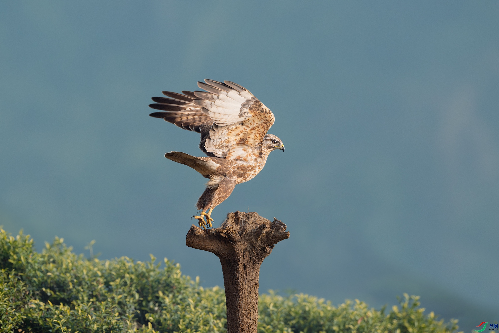 _DSC2210 ����С.jpg