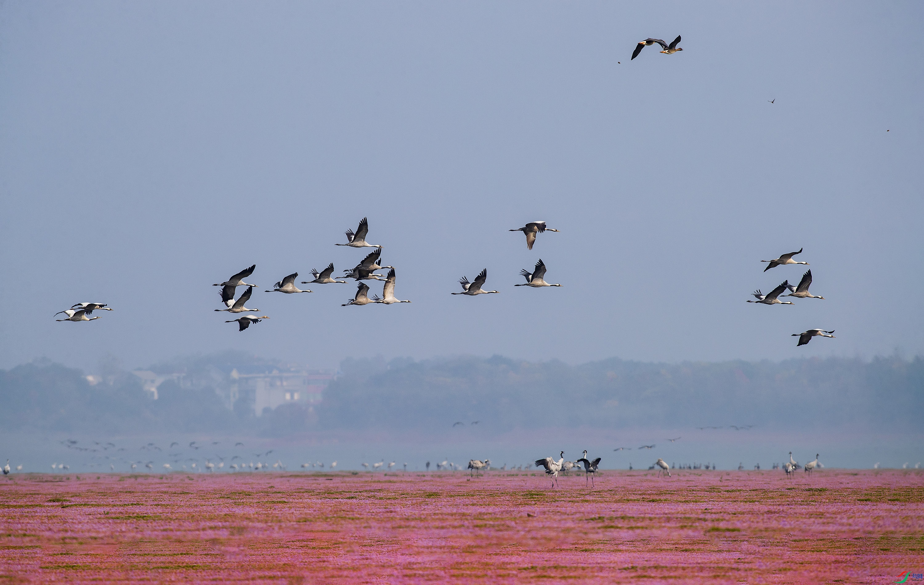 _S7I9490--1111  .jpg