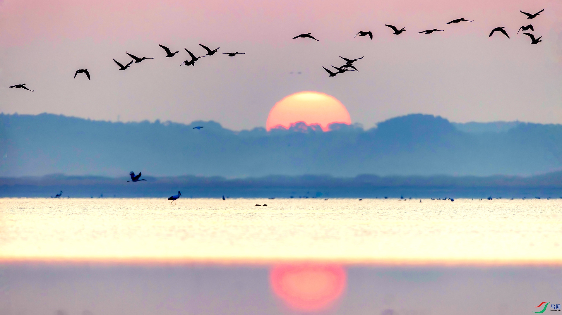 407A0133-----22  .jpg