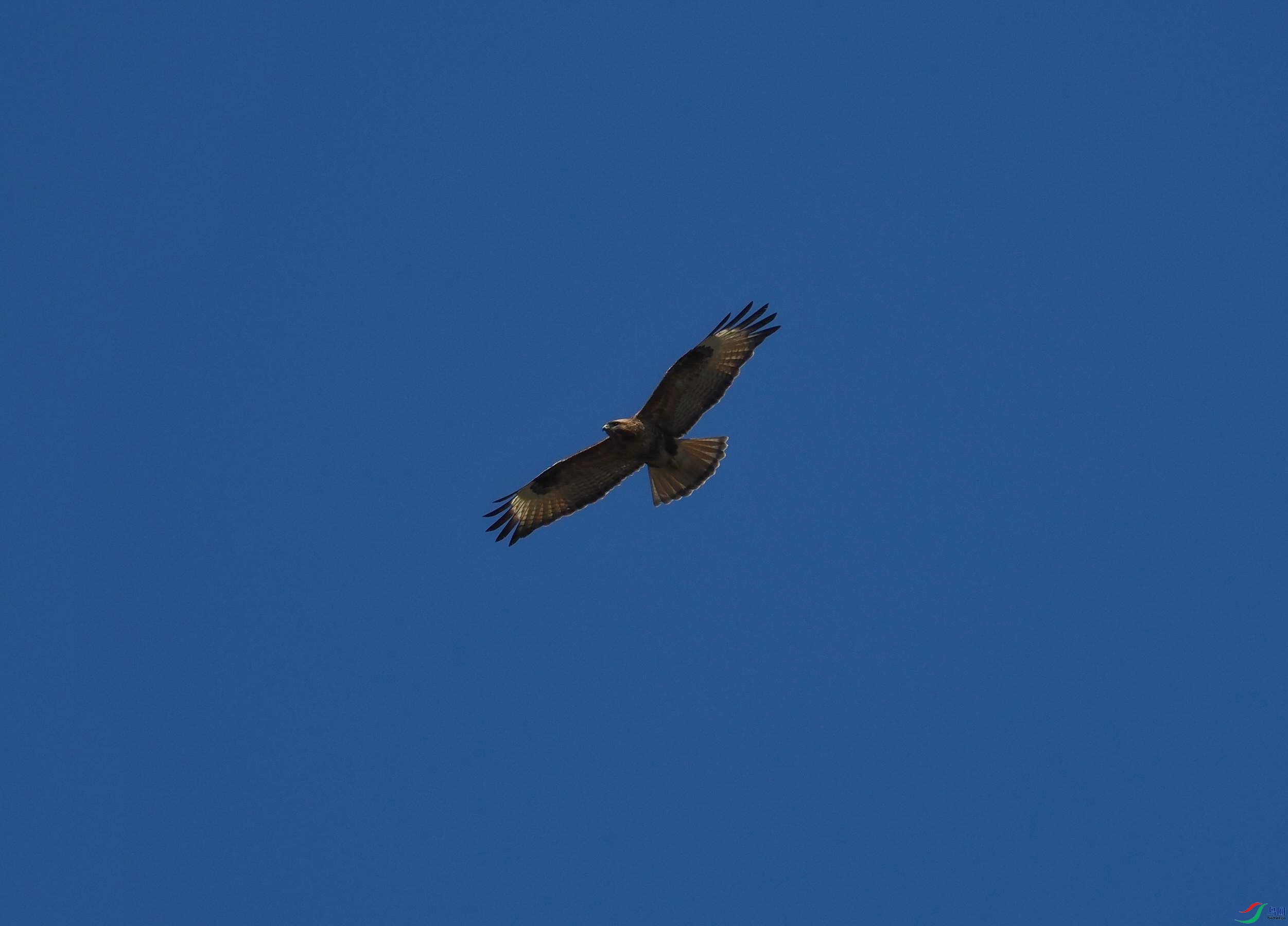 P3145186(1).jpg