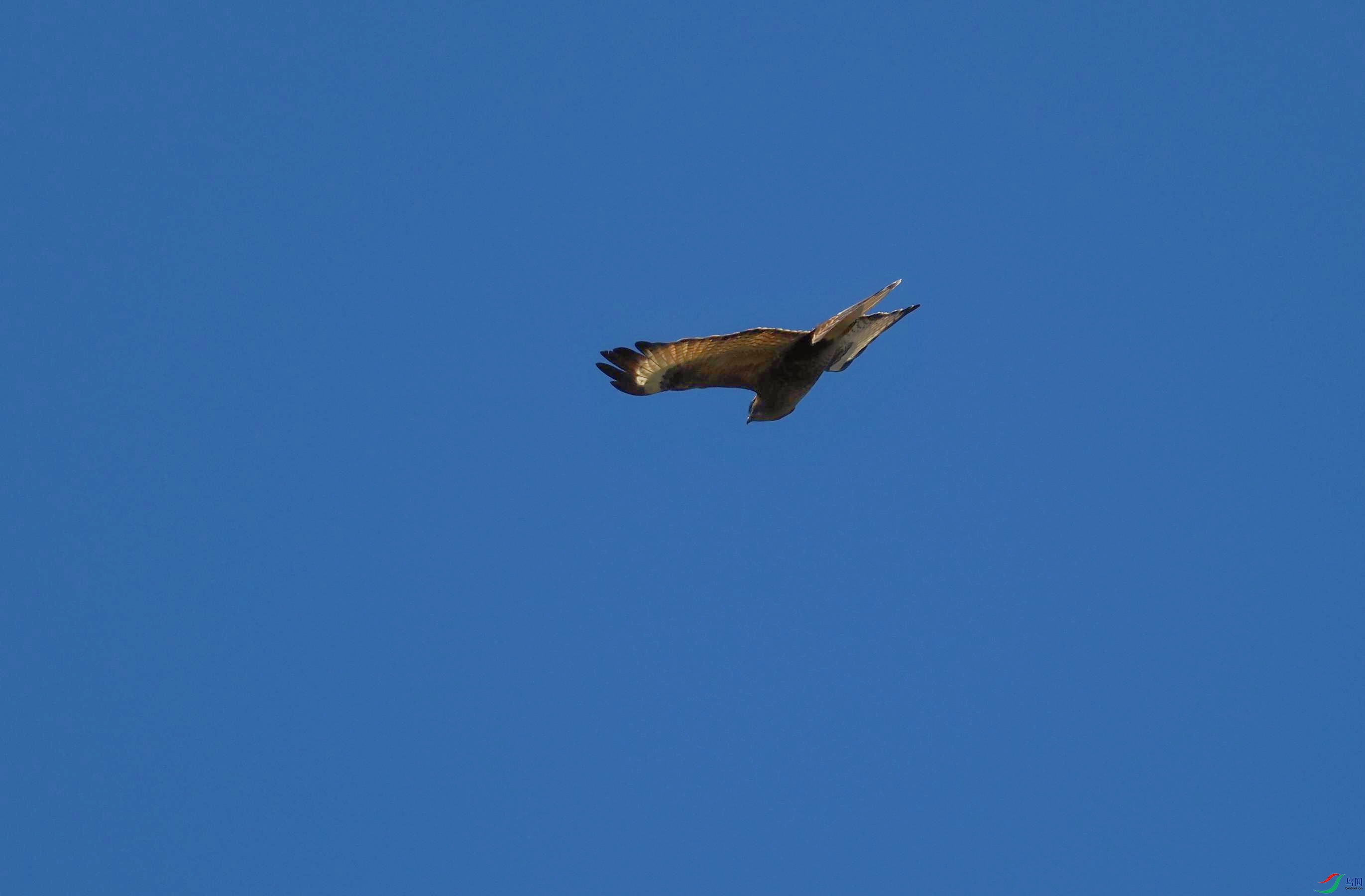 P3145084(1).jpg