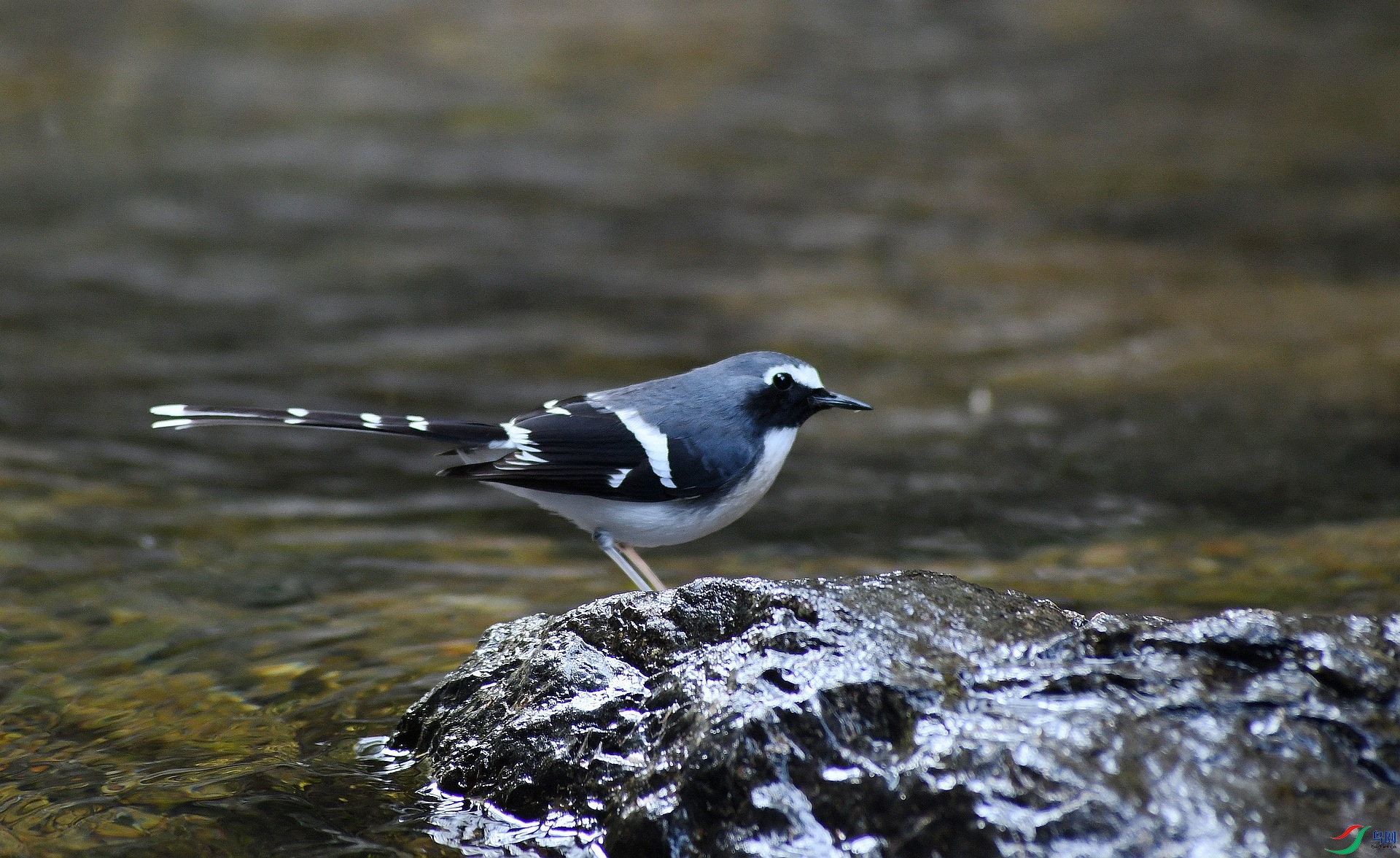 DSC_1316.jpg