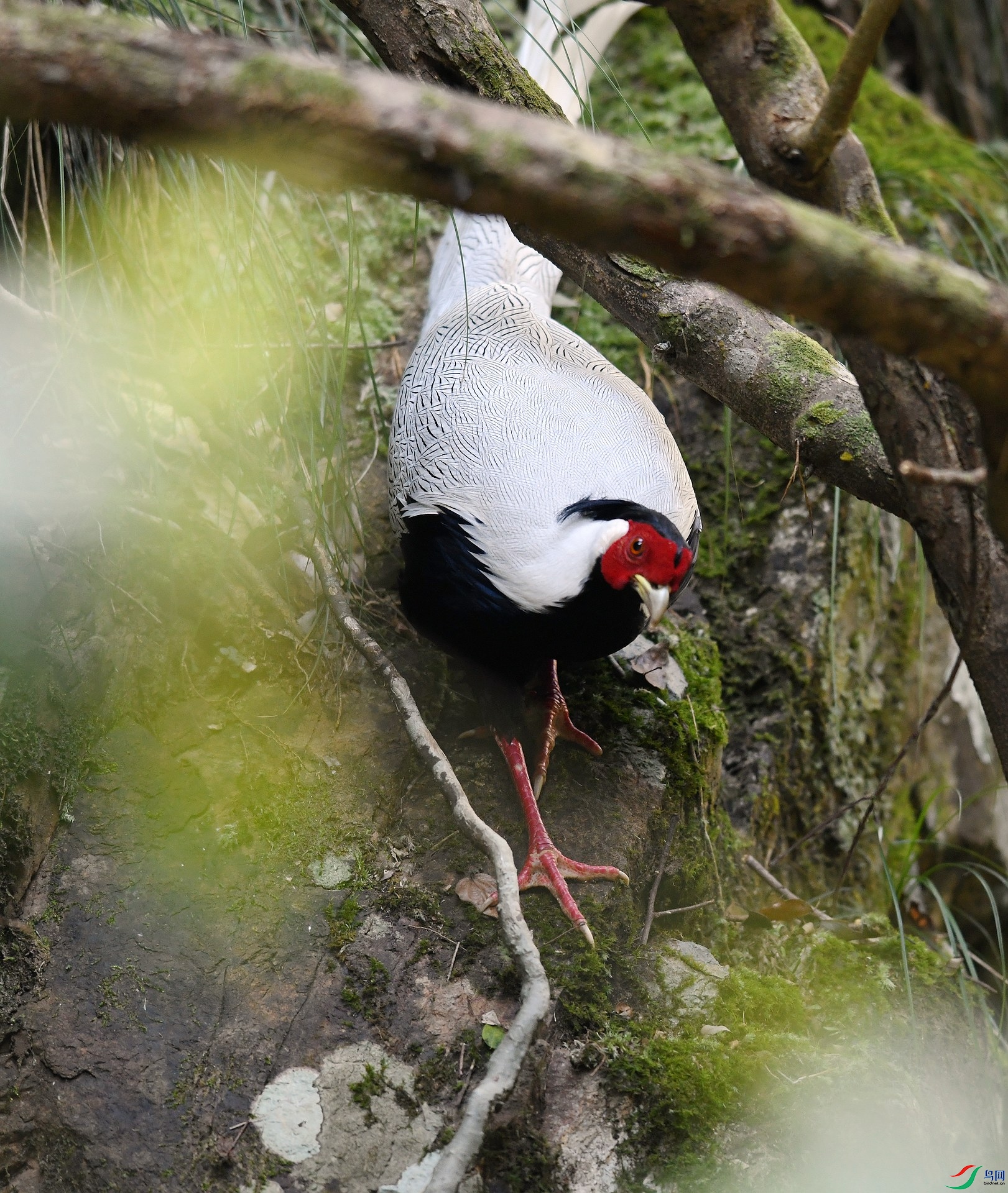 DSC_7897.jpg