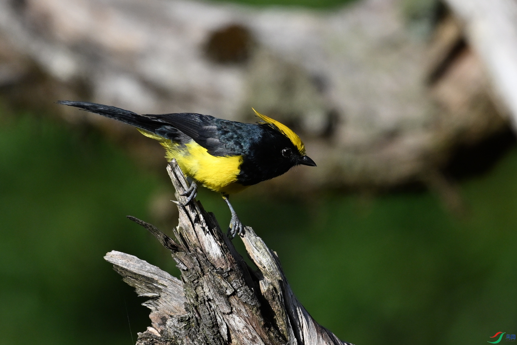 DSC_2402.JPG