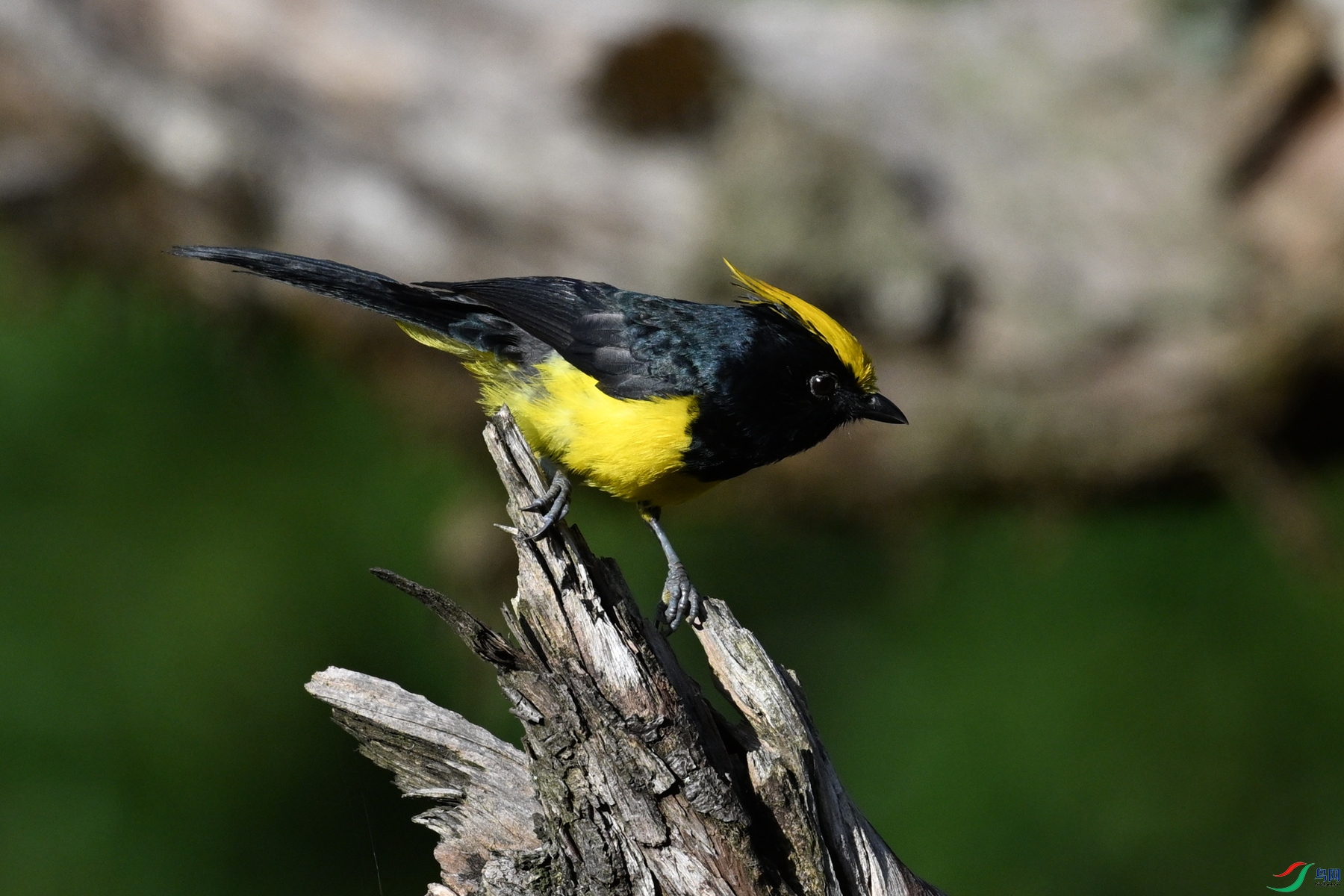 DSC_2404.JPG