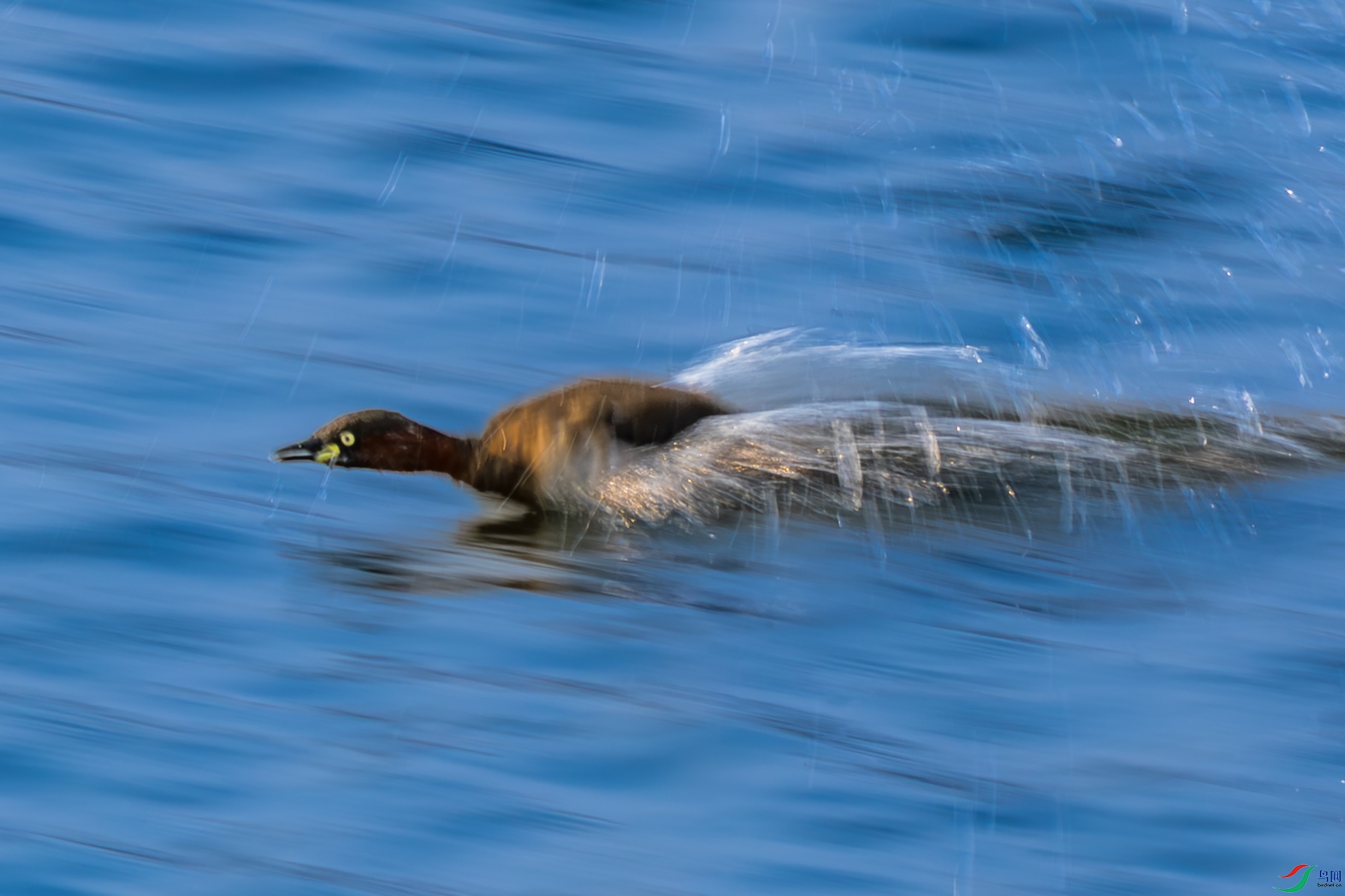 _F9A2955 ����.jpg