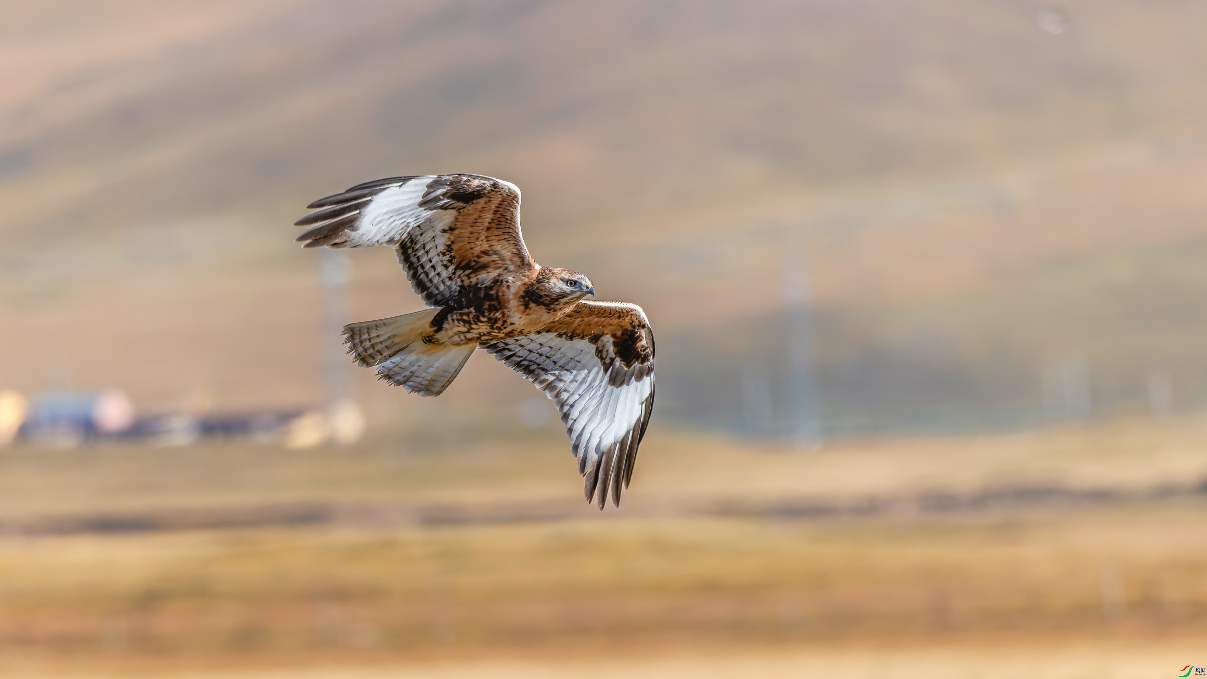 156A5183-DxO_DeepPRIME XD2s_XD ����.jpg