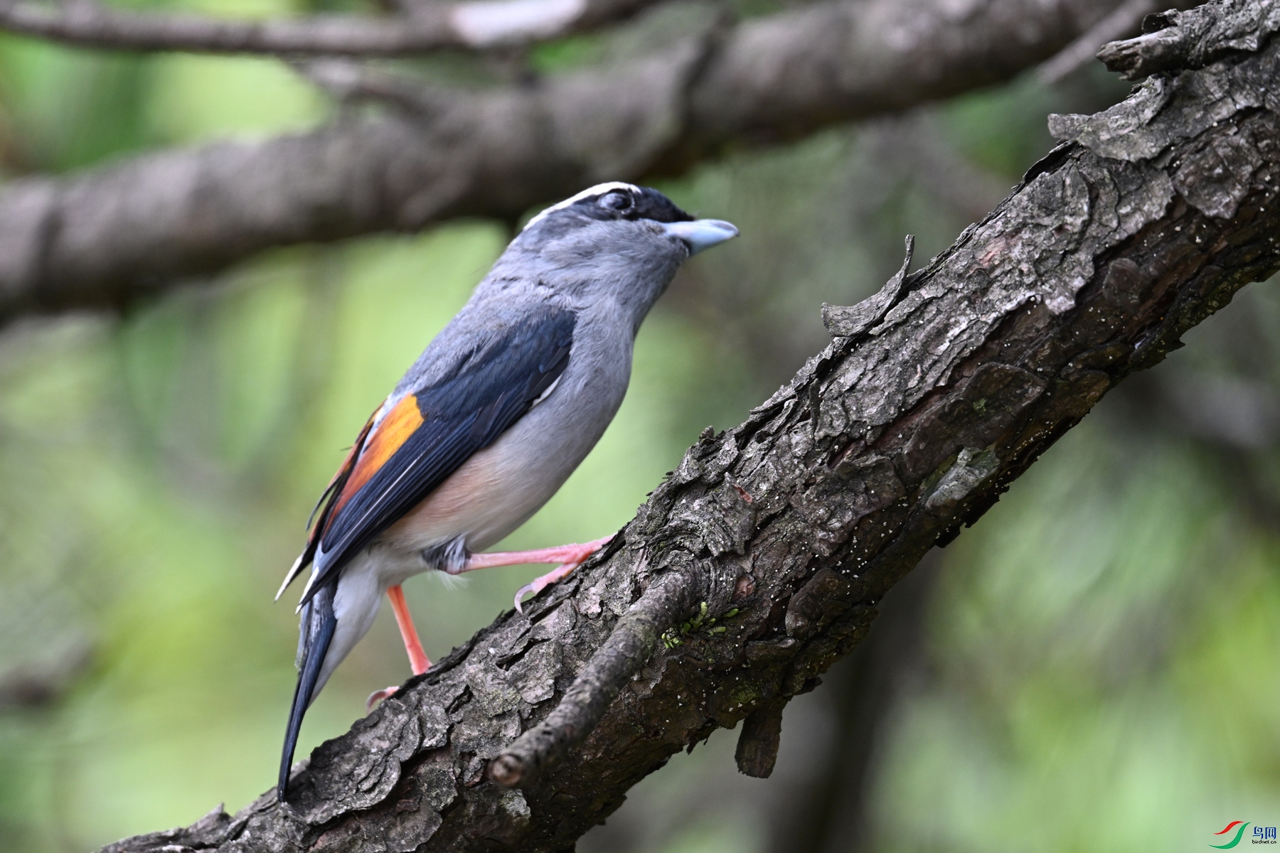 DSC_1490.JPG