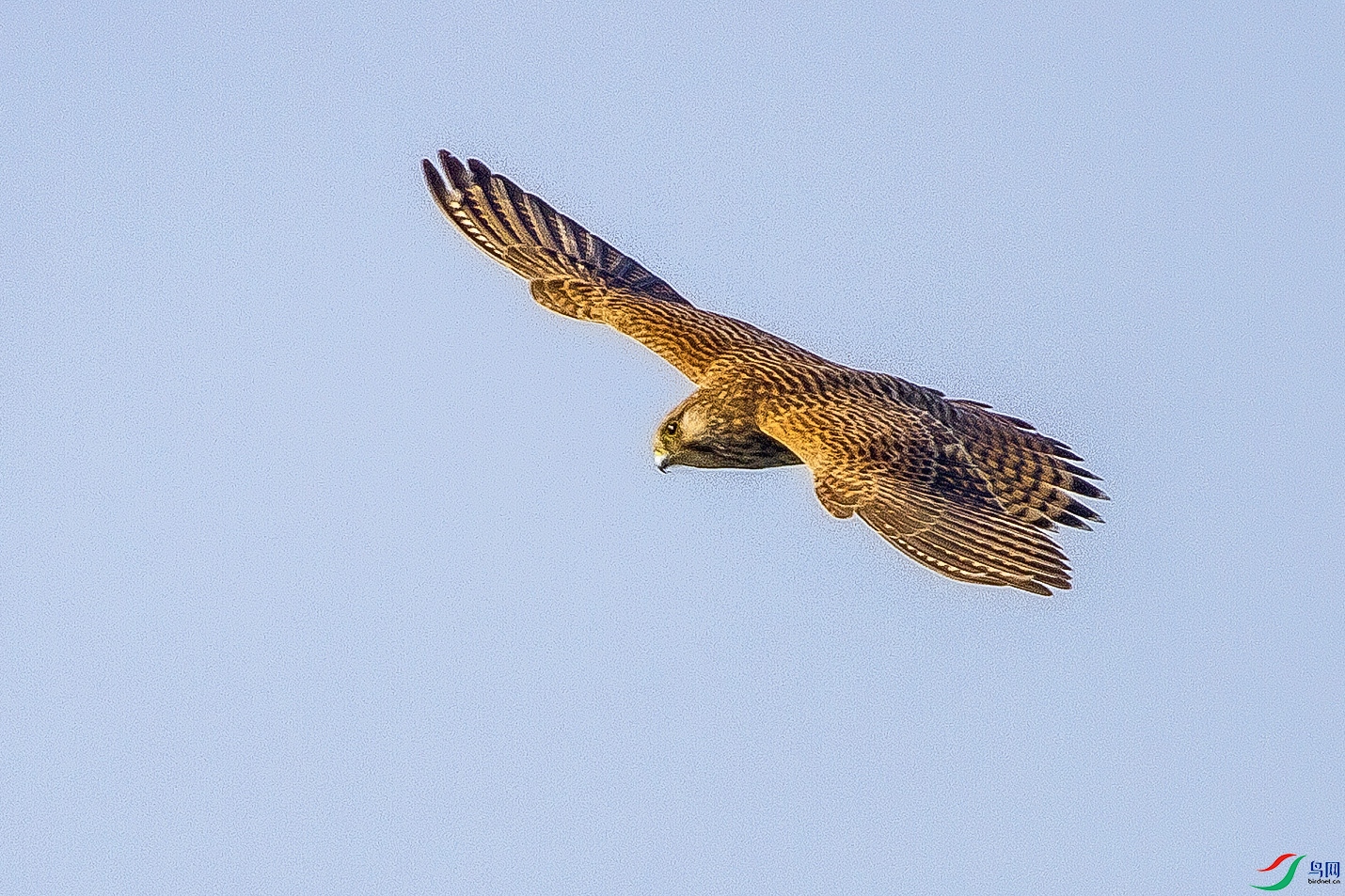 _MG_2152 ���� 2.jpg